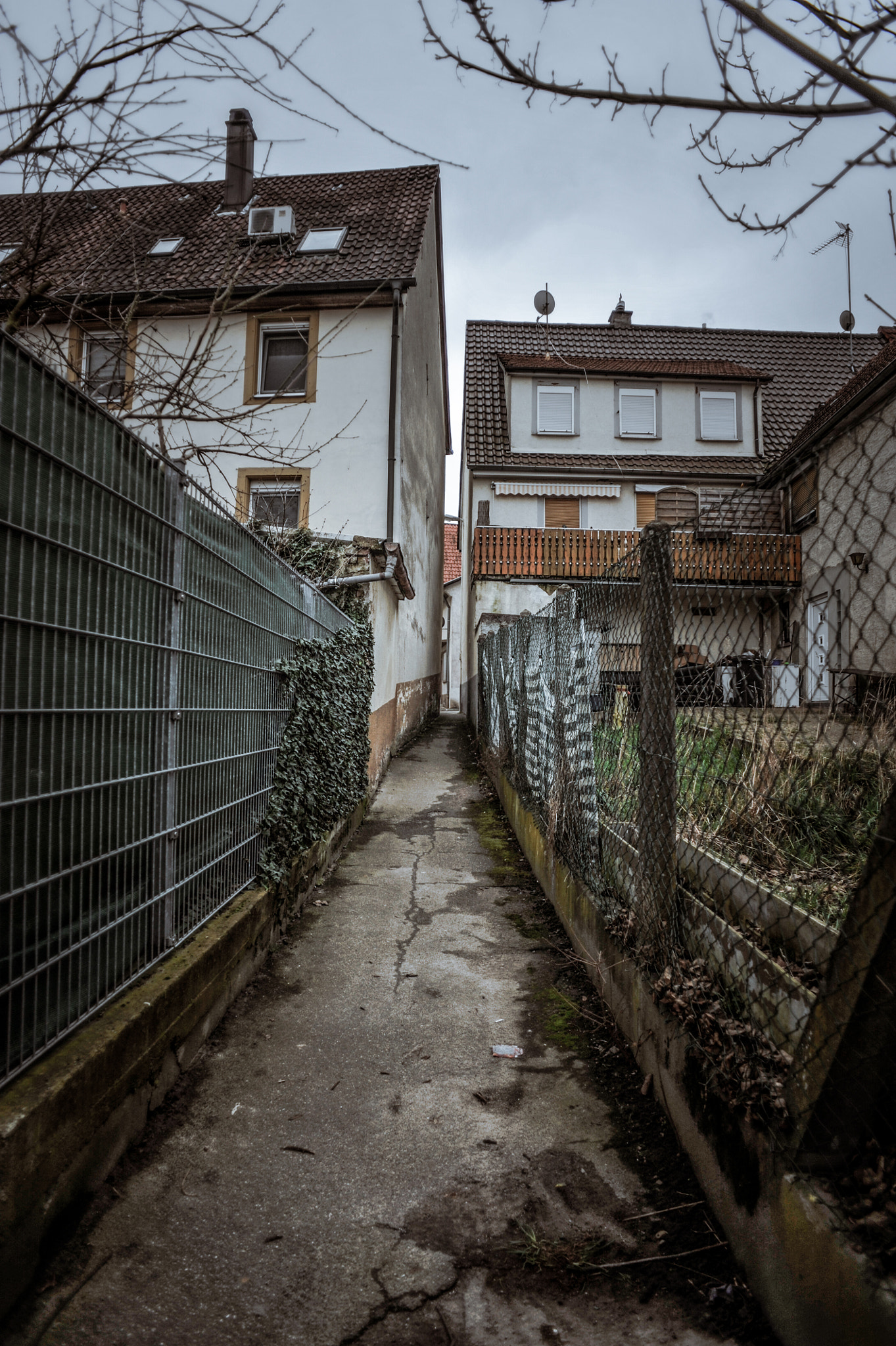 Nikon D700 + AF Nikkor 20mm f/2.8 sample photo. Zaun photography