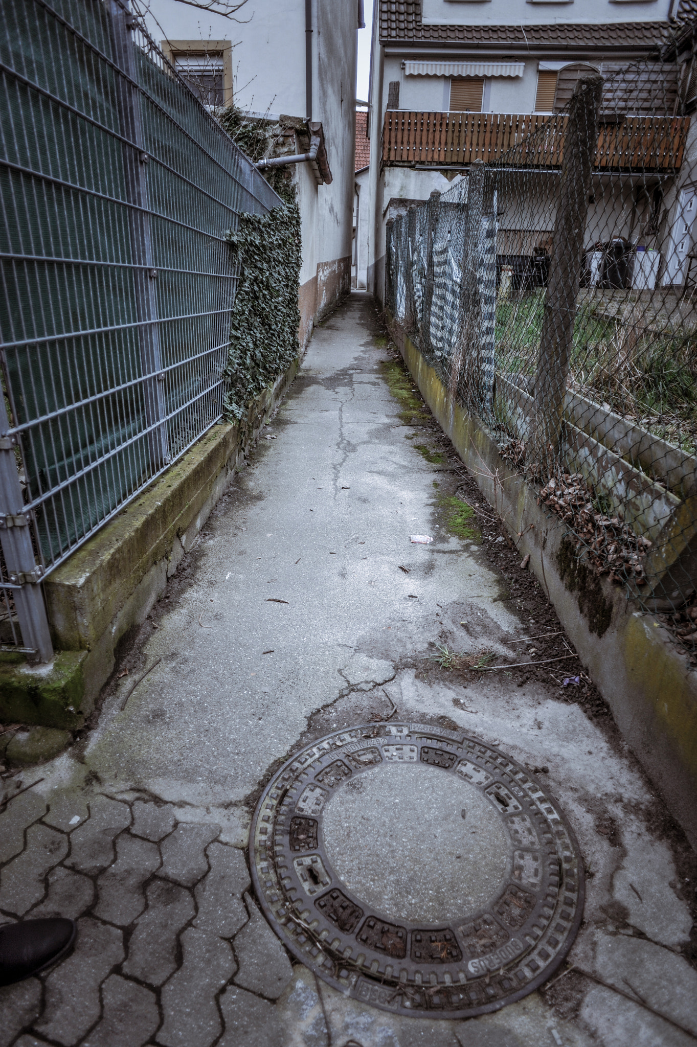 Nikon D700 + AF Nikkor 20mm f/2.8 sample photo. Gully photography