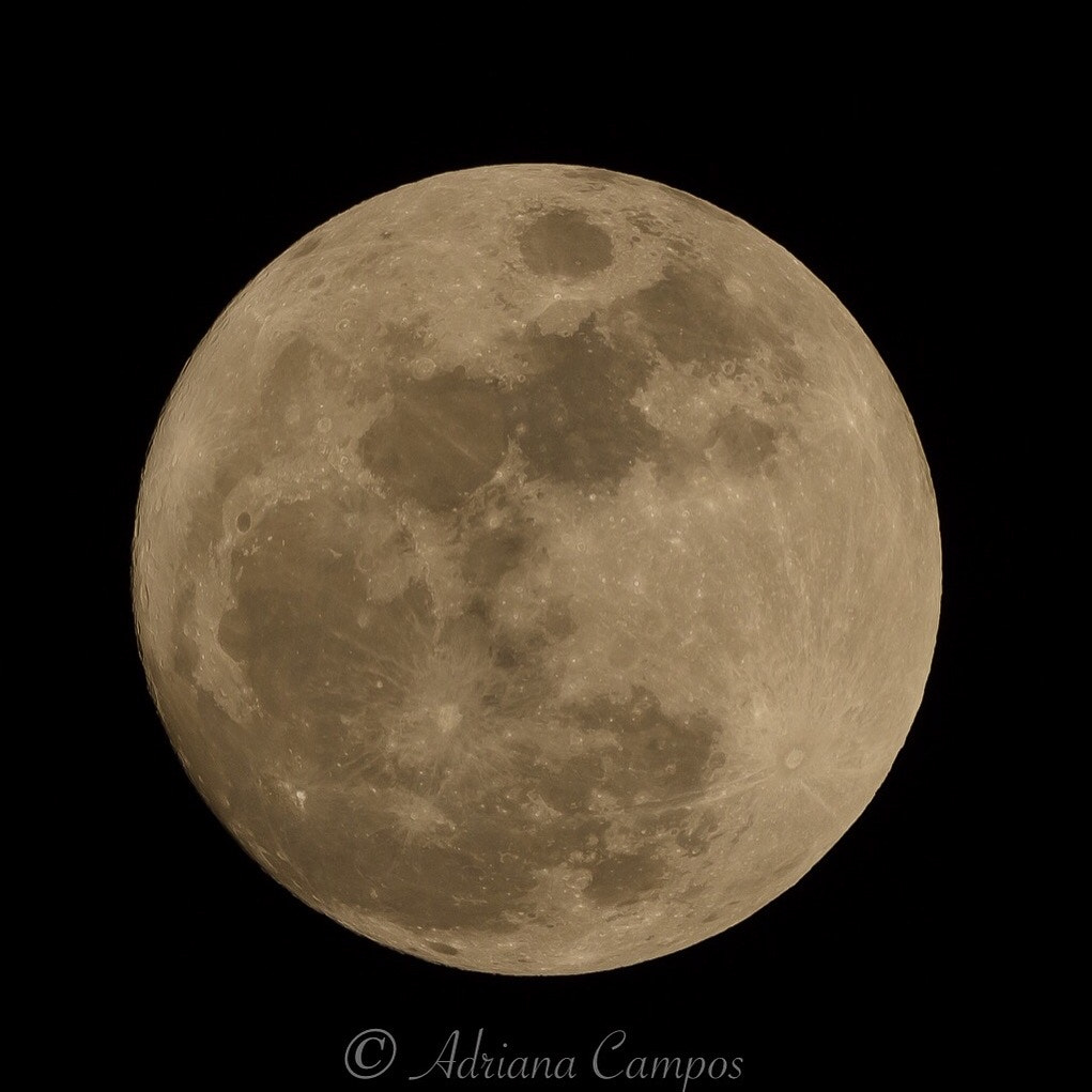 Tamron SP 150-600mm F5-6.3 Di VC USD sample photo
