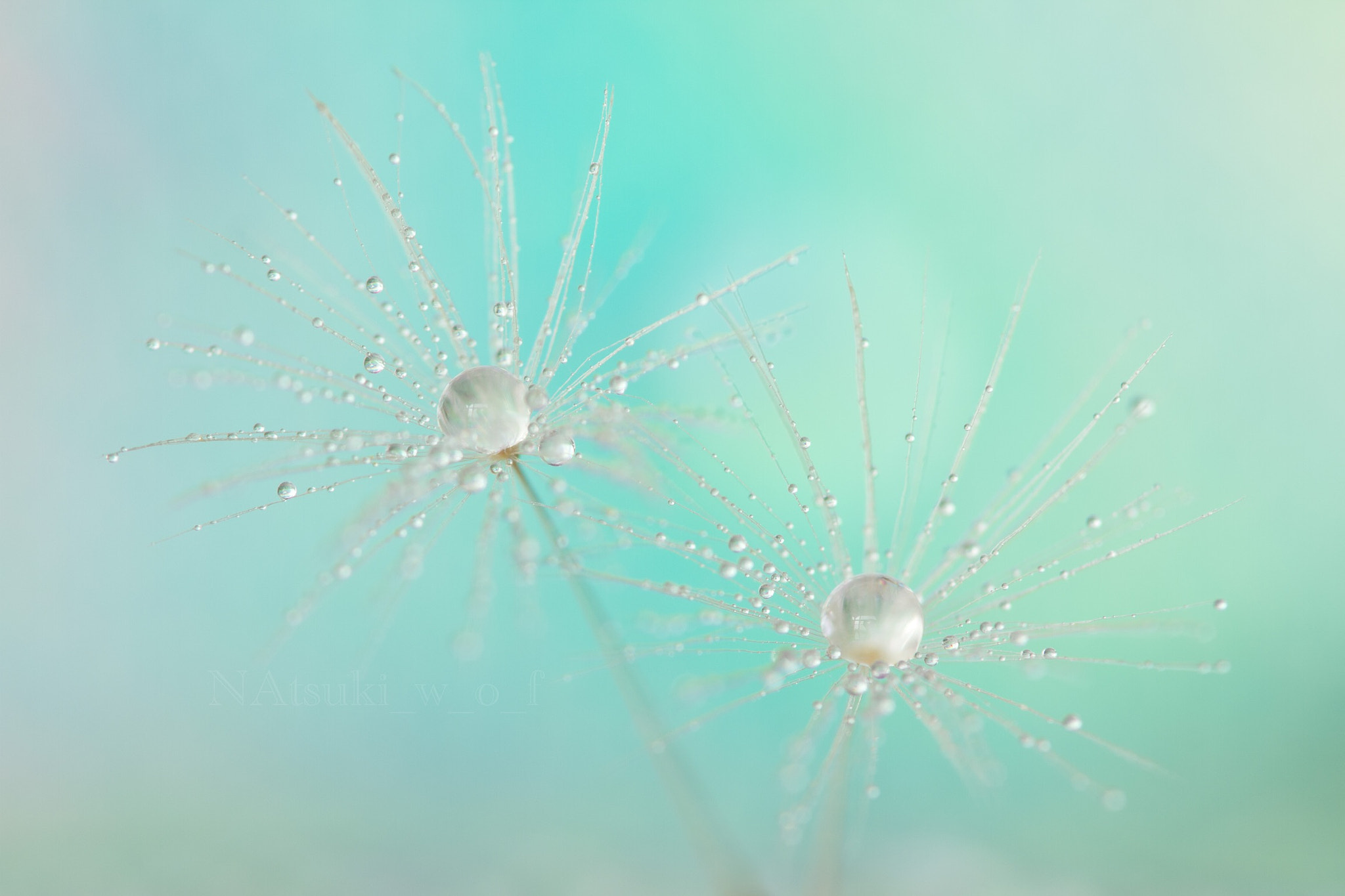 Tamron SP AF 180mm F3.5 Di LD (IF) Macro sample photo. Beautiful world photography