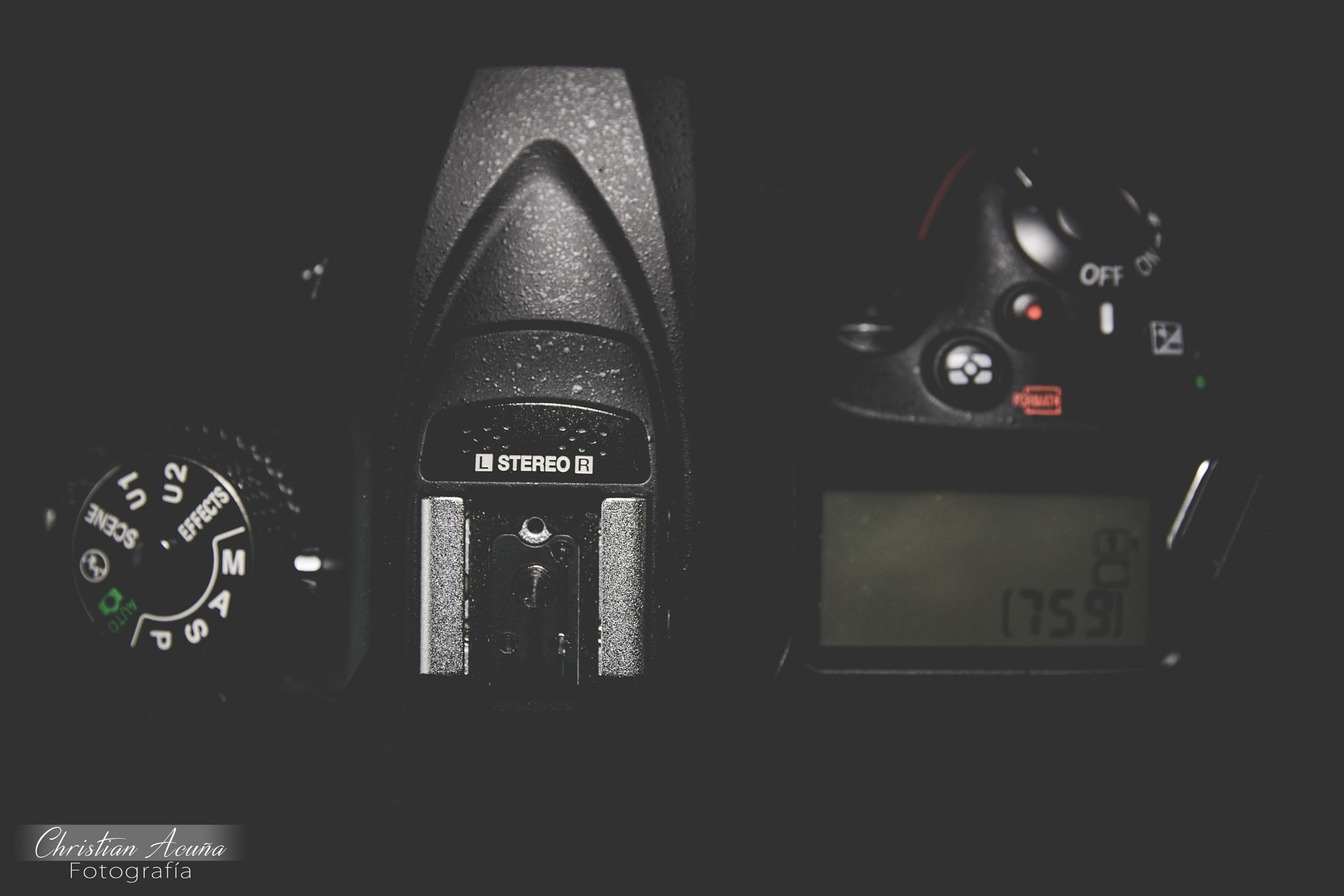 Nikon D5300 + Sigma 17-70mm F2.8-4 DC Macro OS HSM | C sample photo. Fotografía de productos photography
