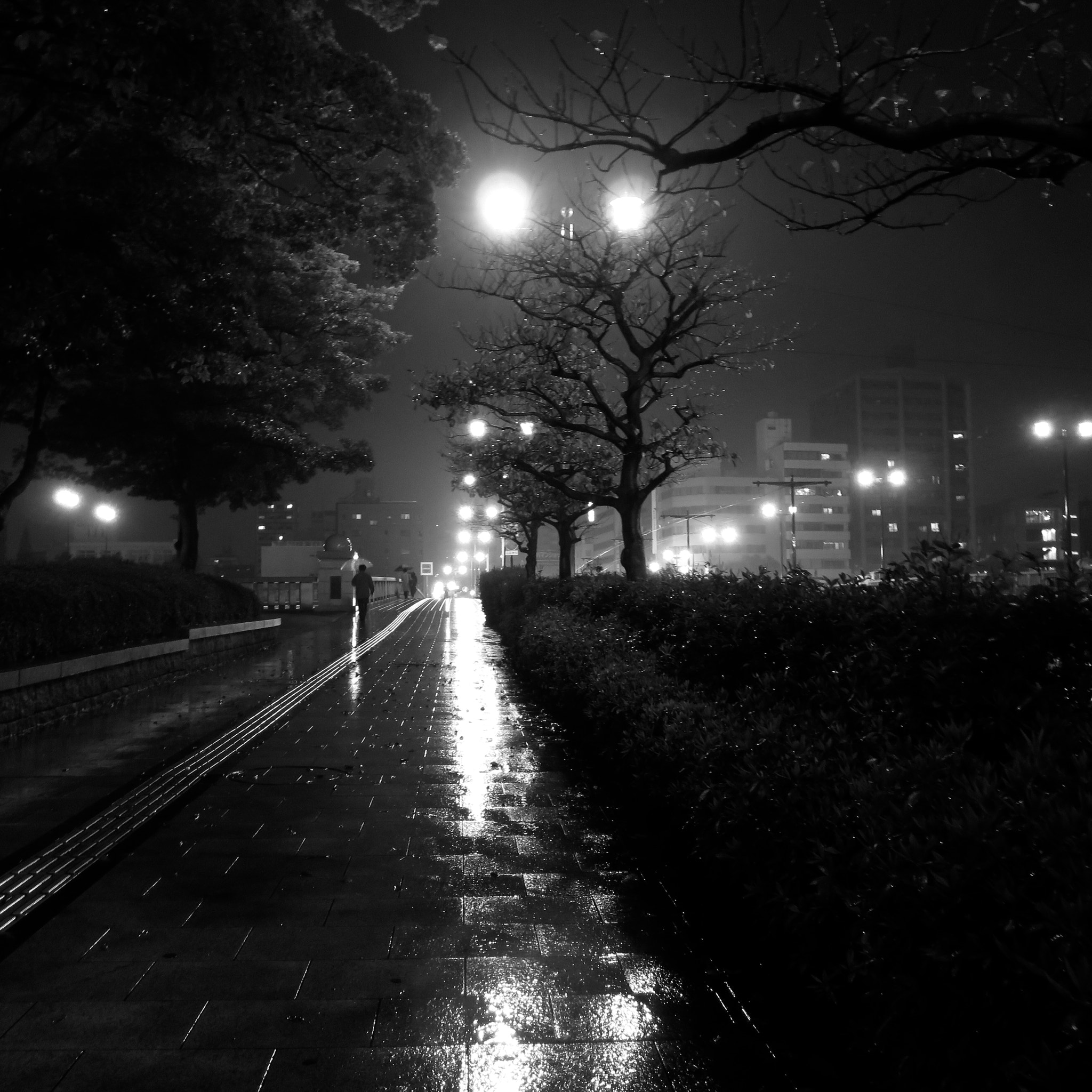 Canon POWERSHOT N2 sample photo. 雨の夜の相生橋 aioi-bashi on a rainy night photography