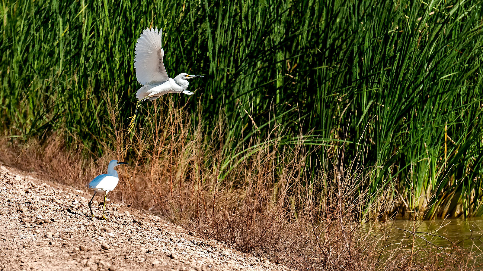 Nikon D60 sample photo. I'm out of here photography