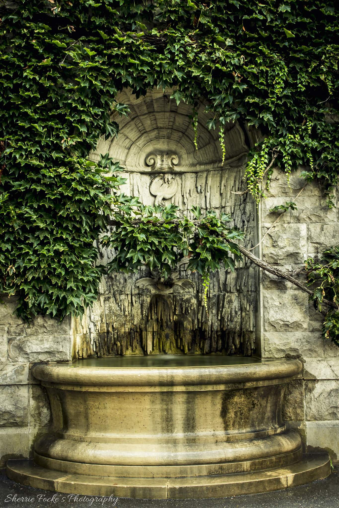 Canon EF 24-70mm F2.8L II USM sample photo. Biltmore gate fountain photography