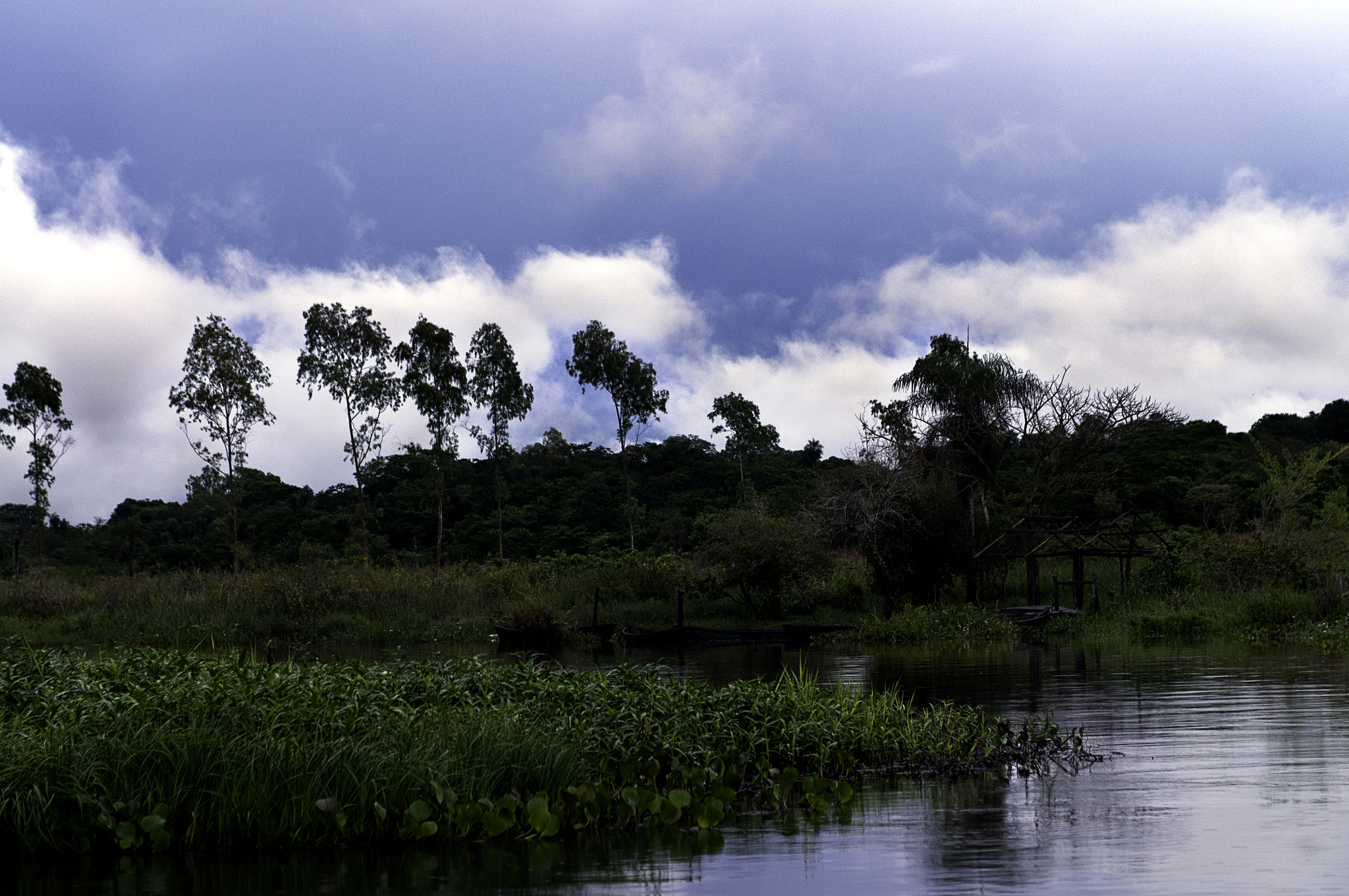 Nikon D300 + Sigma 24-70mm F2.8 EX DG Macro sample photo. River photography