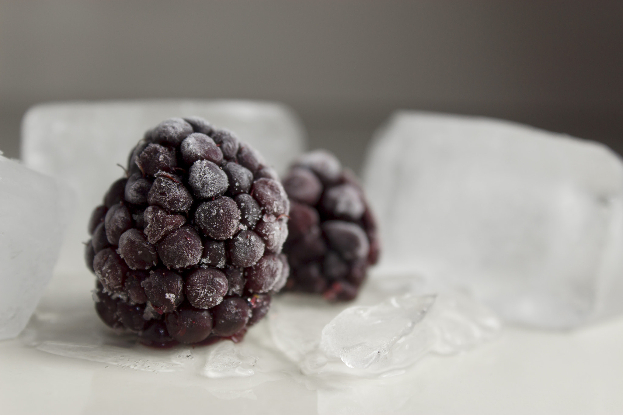Canon EF-S 18-55mm F3.5-5.6 III sample photo. Frozen blackberry photography