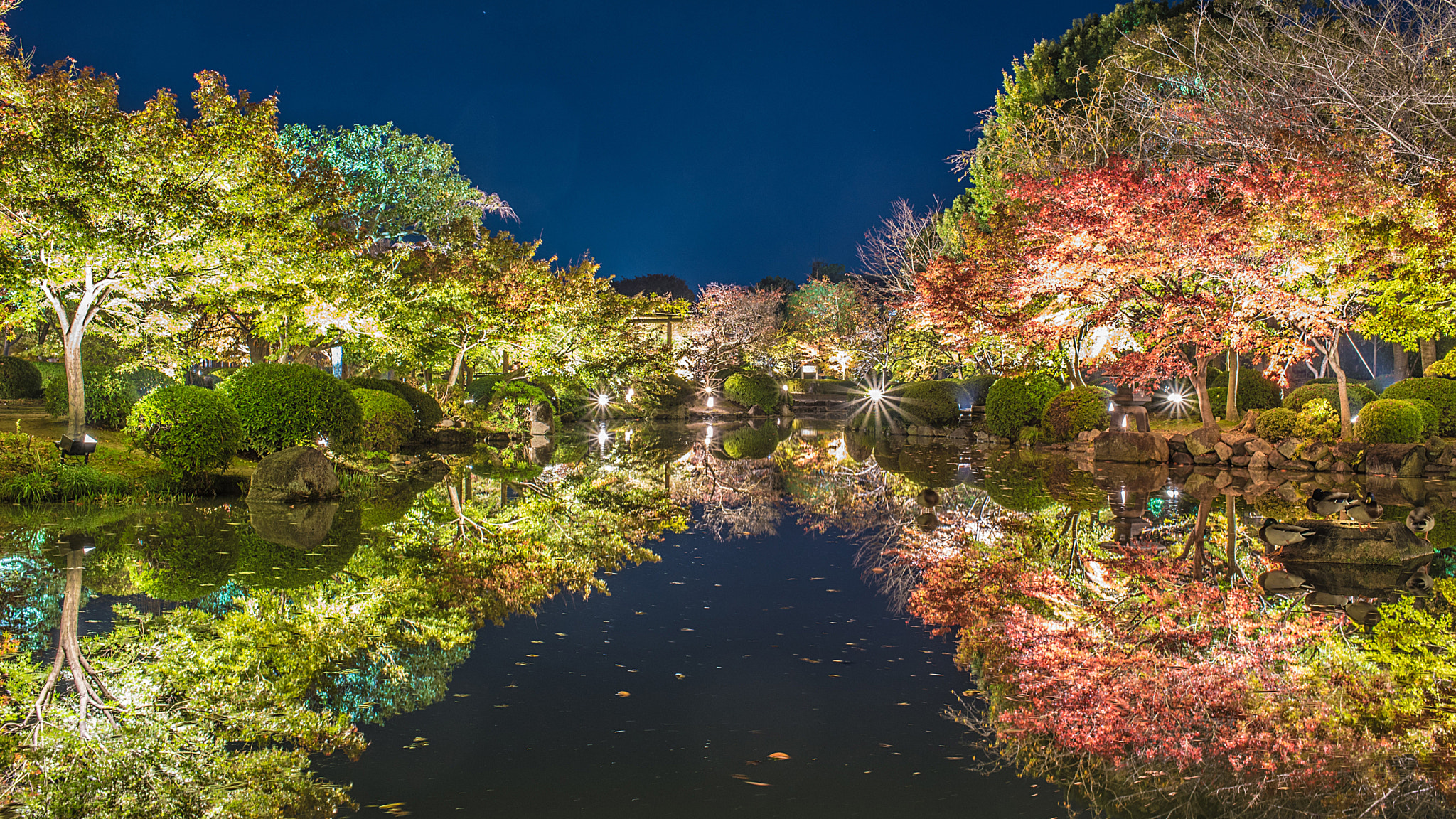 Nikon D750 + AF-S Nikkor 35mm f/1.8G sample photo. Last autumn traveled to kyoto. full of tourists in ... photography