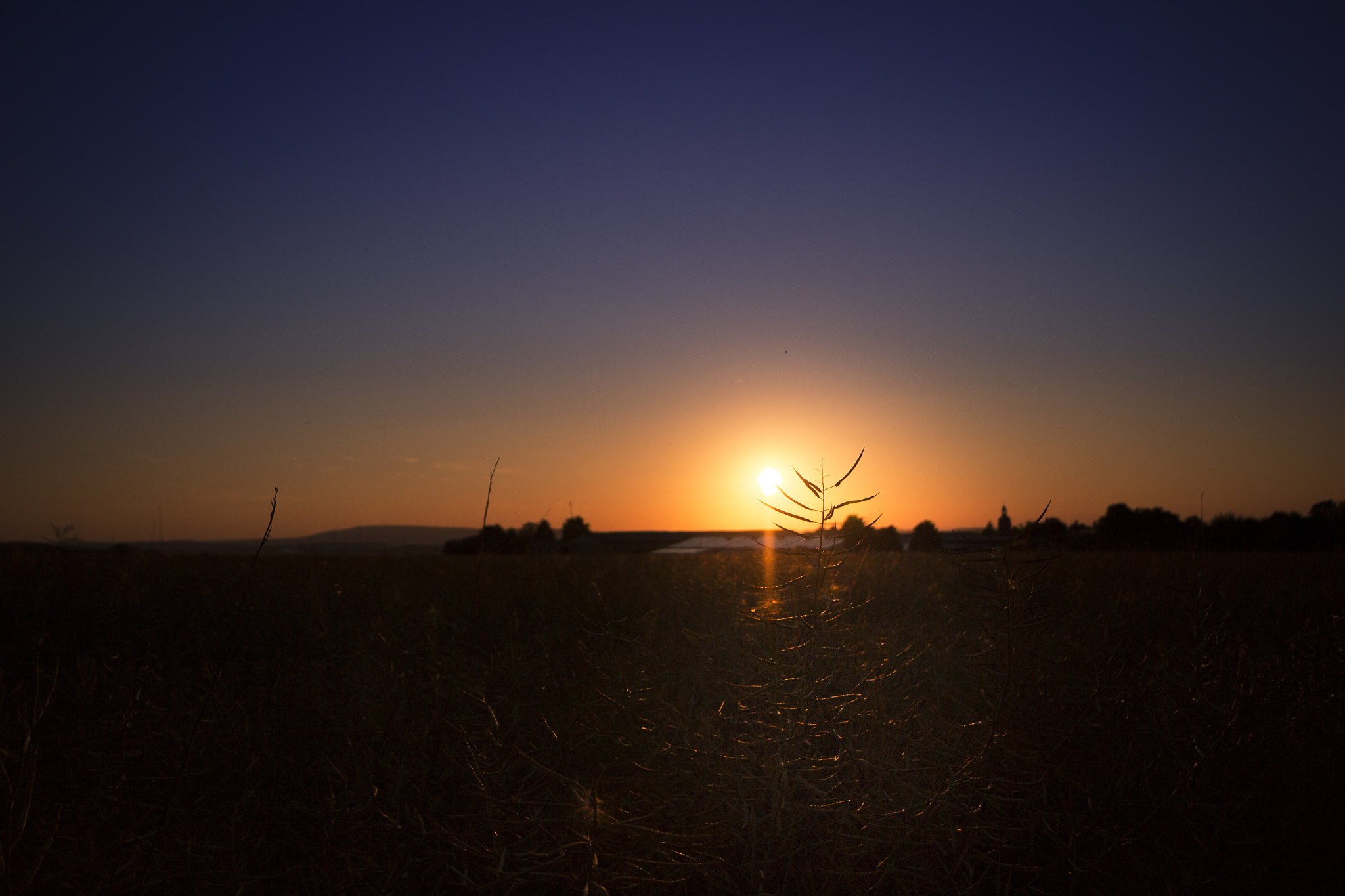 Canon EF-S 18-135mm F3.5-5.6 IS STM sample photo. Sun go down photography