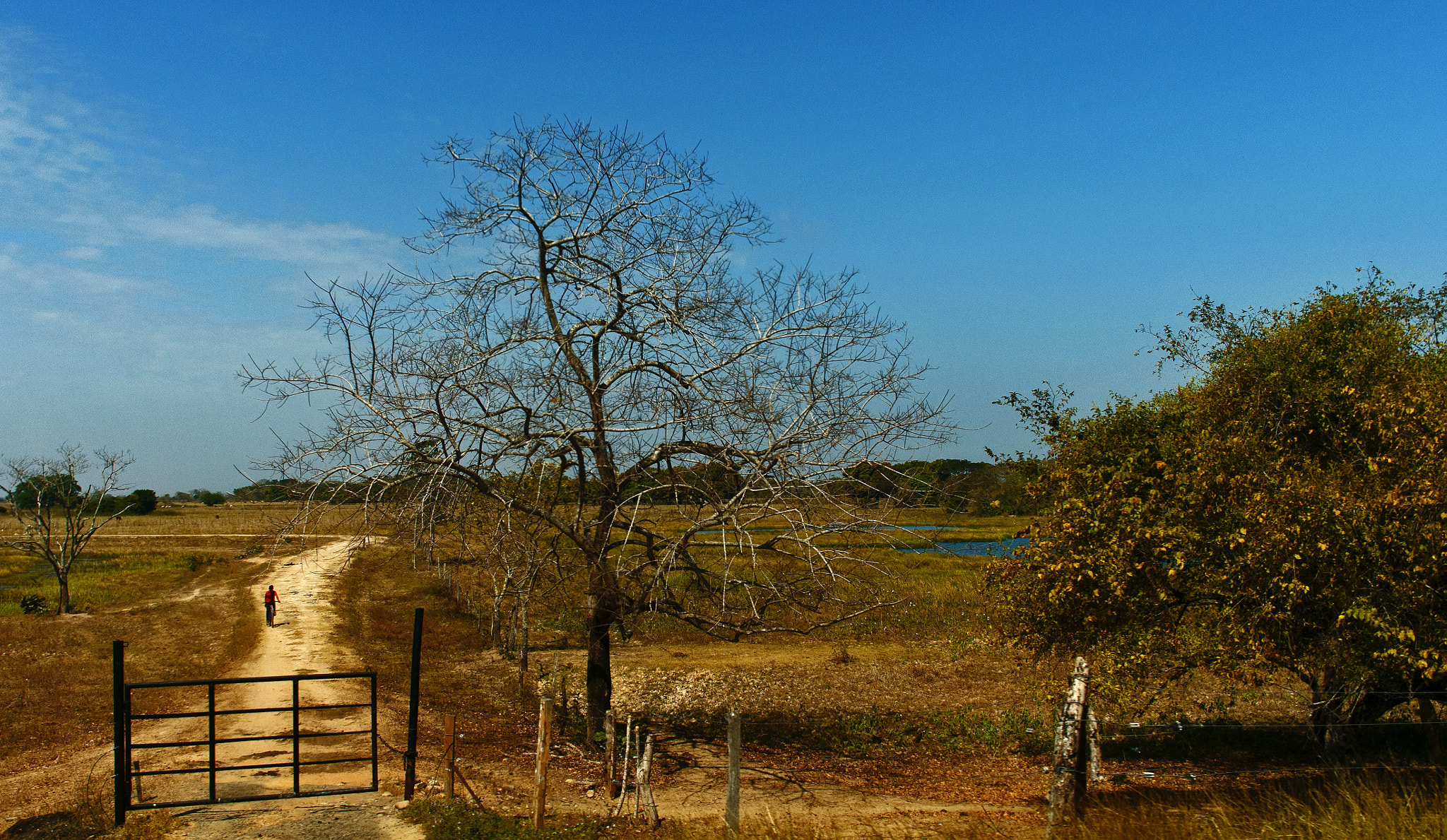 Pentax smc DA 21mm F3.2 AL Limited sample photo. Country road photography