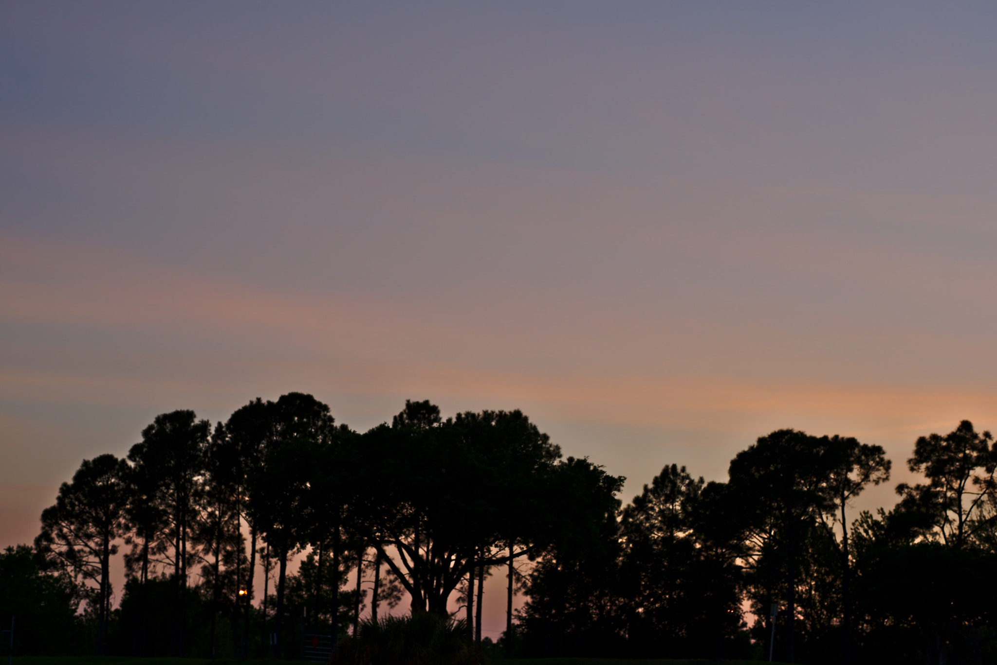 ZEISS Otus 85mm F1.4 sample photo. Colorful sunset over trees photography