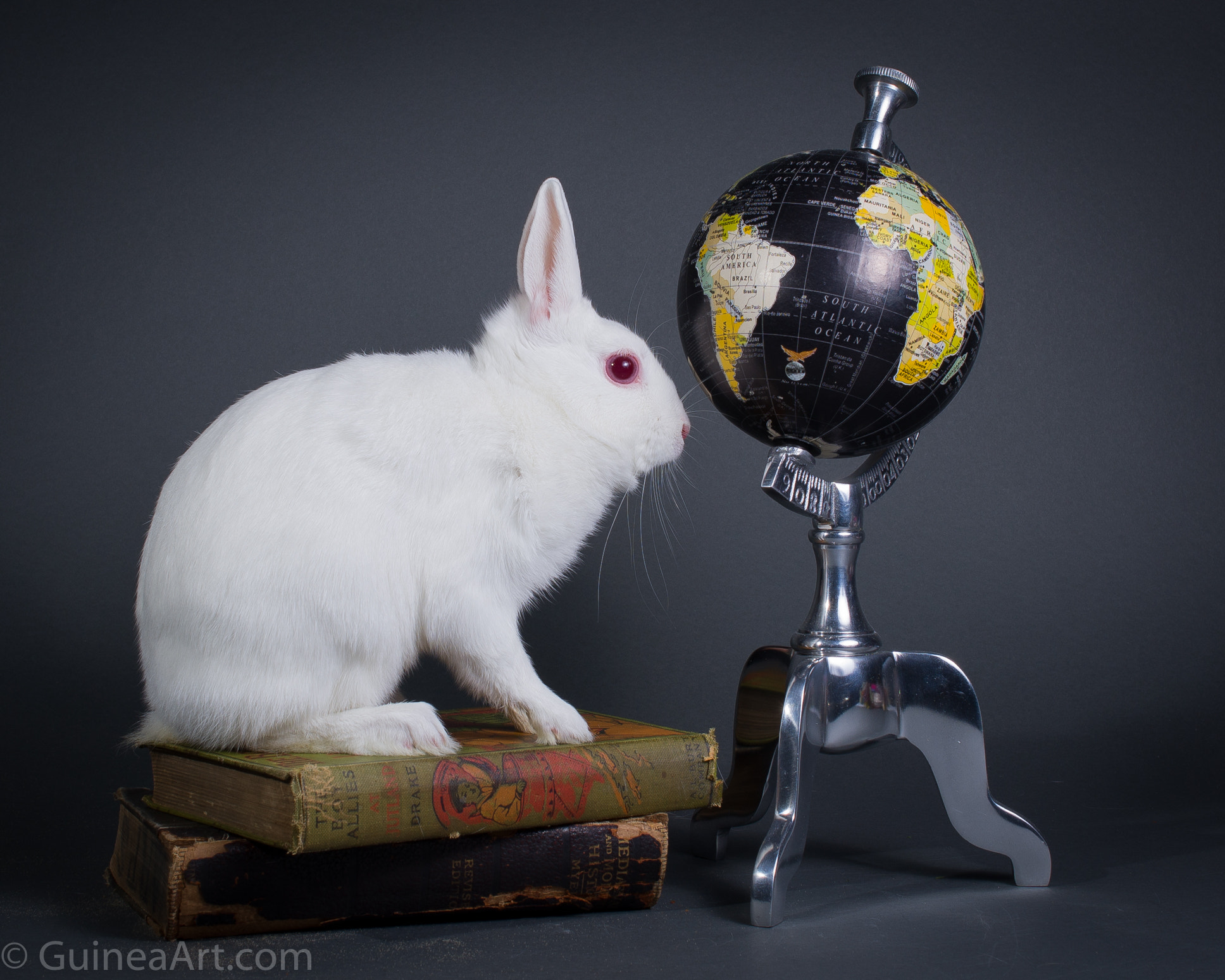 Nikon AF-S DX Micro Nikkor 40mm F2.8 sample photo. Globe hopper photography