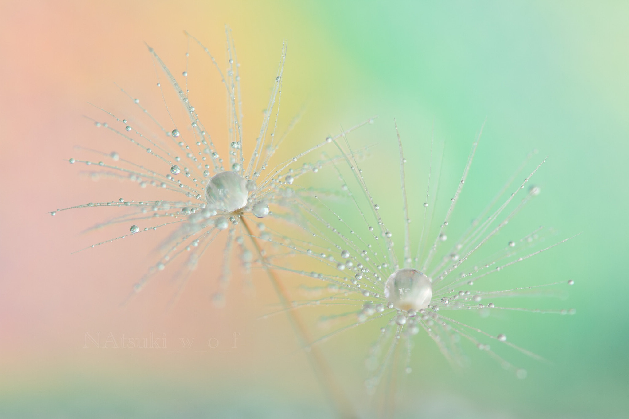 Tamron SP AF 180mm F3.5 Di LD (IF) Macro sample photo. Beautiful world photography
