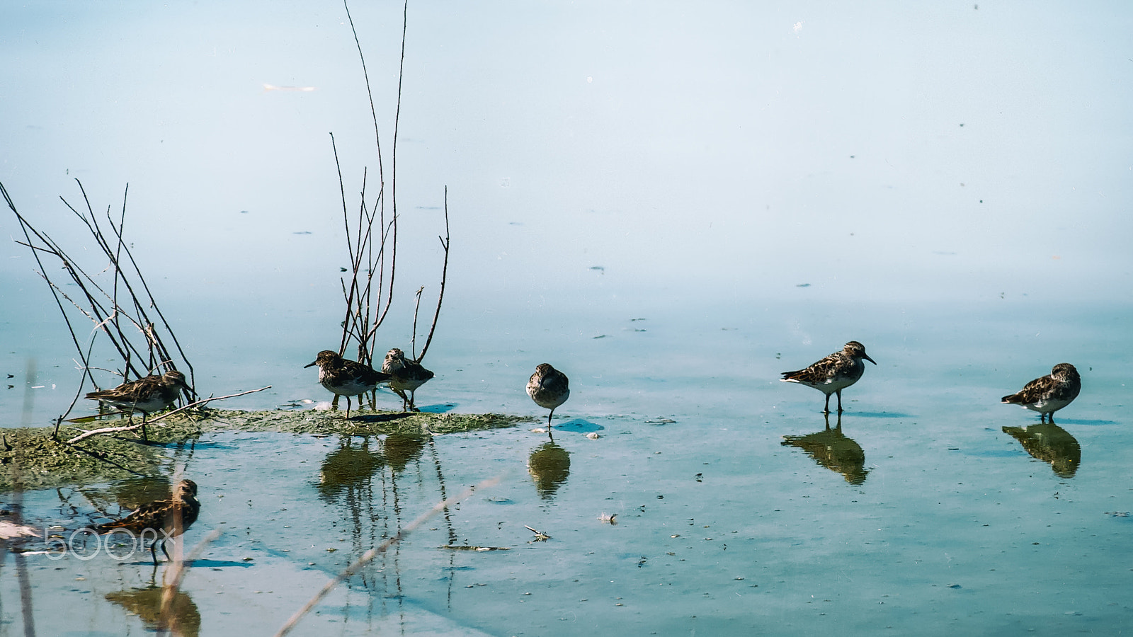 Nikon D60 sample photo. The shallows photography