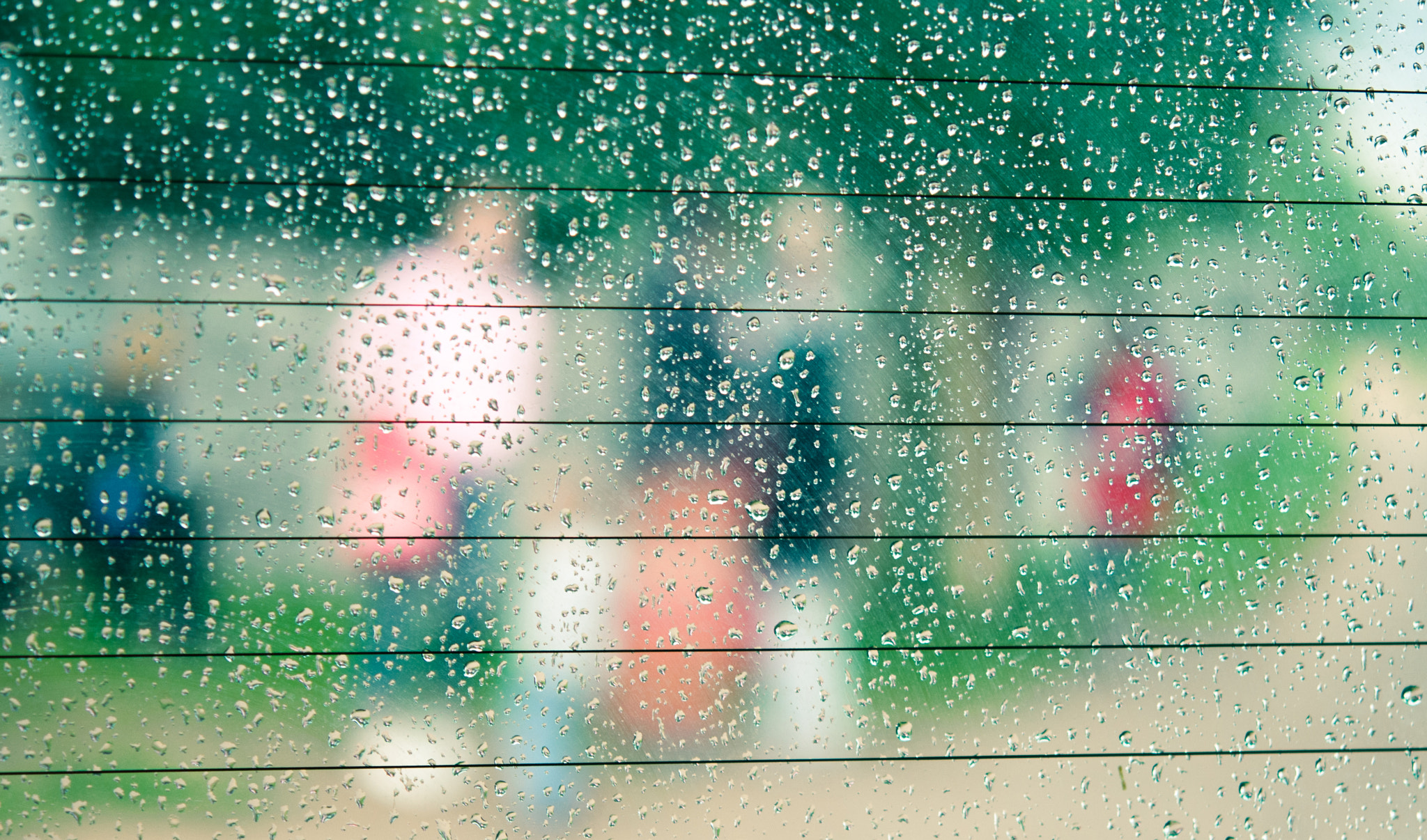 Nikon AF-S Micro-Nikkor 60mm F2.8G ED sample photo. Summer rain drops photography