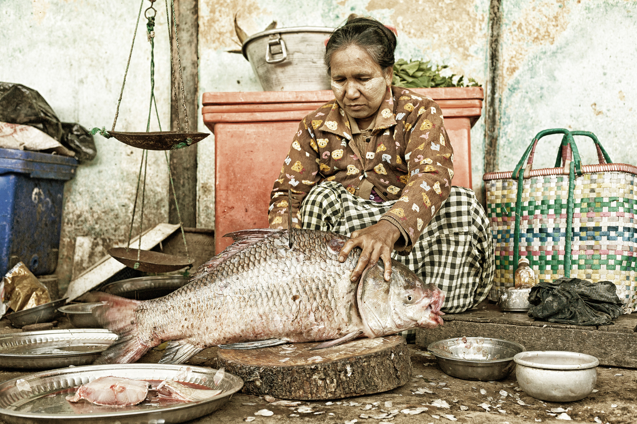 Canon EOS 5D + Canon EF 40mm F2.8 STM sample photo. Fish chopping photography