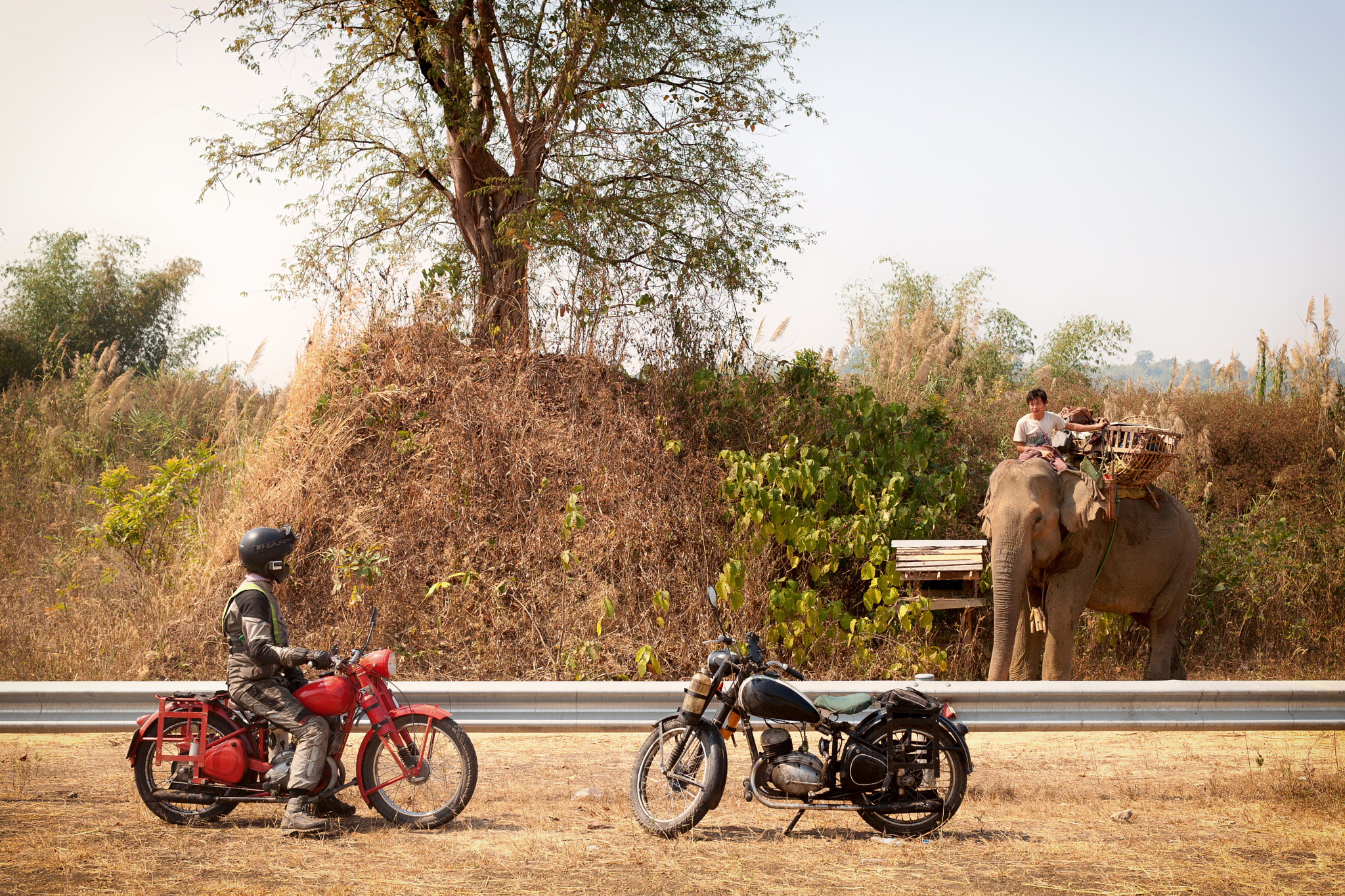 Canon EOS 5D + Canon EF 40mm F2.8 STM sample photo. An elephant encounter photography