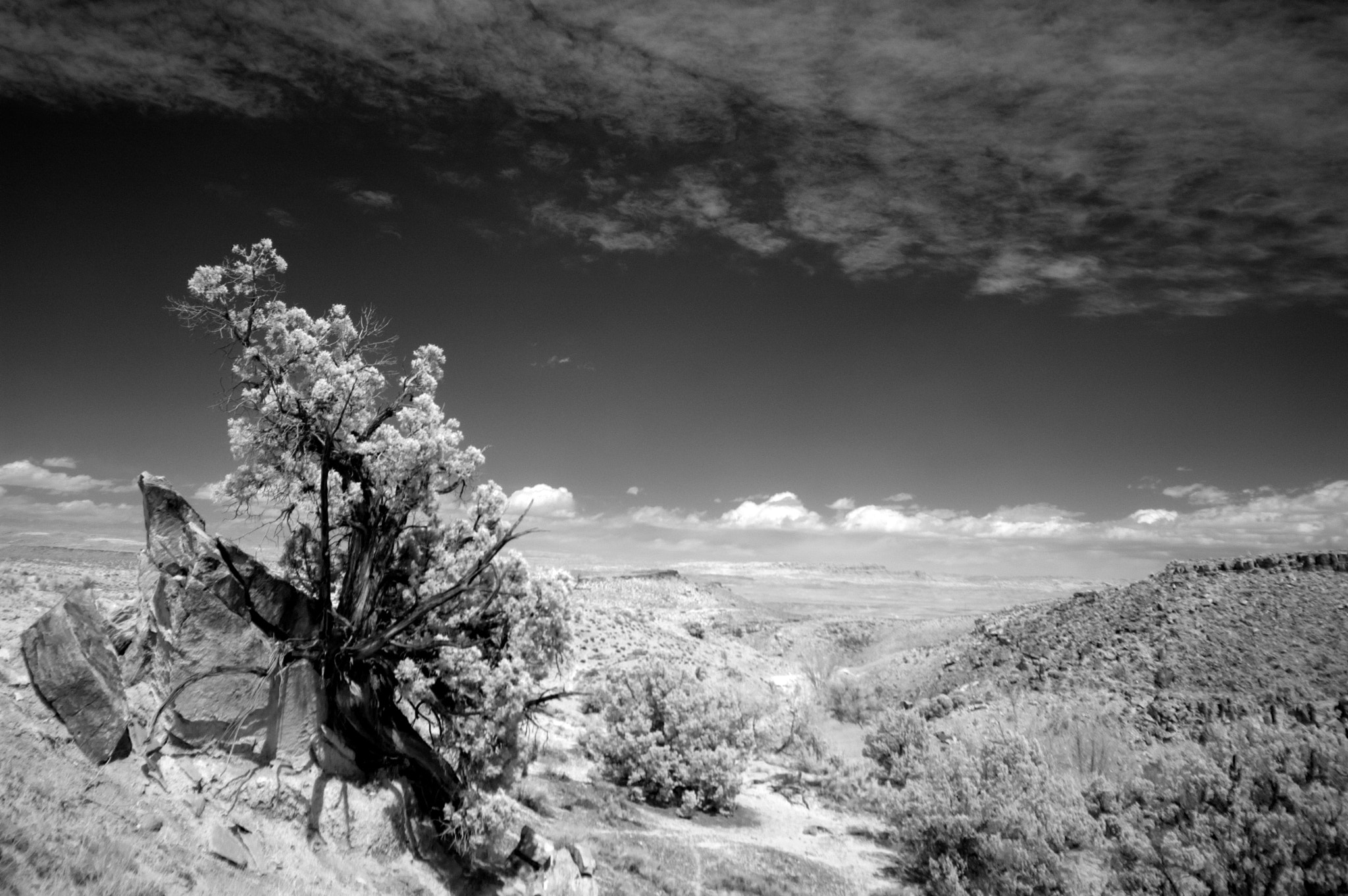 Sigma 18-35mm F3.5-4.5 Aspherical sample photo. Bartlett wash area april 2016 photography