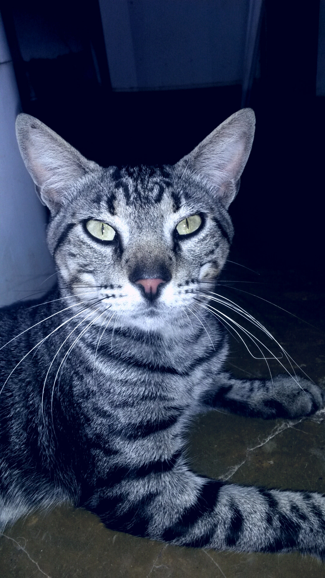 Samsung Galaxy S4 Active sample photo. Catarina house photography