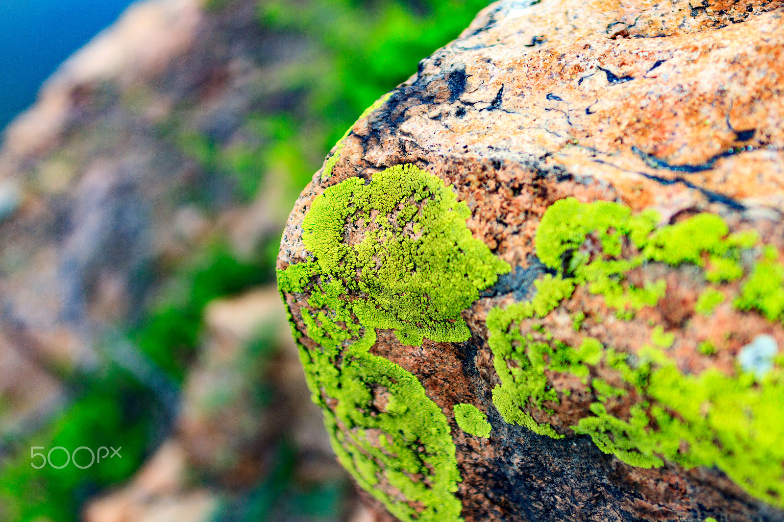 EF28-70mm f/2.8L USM sample photo. Lichen on stone photography