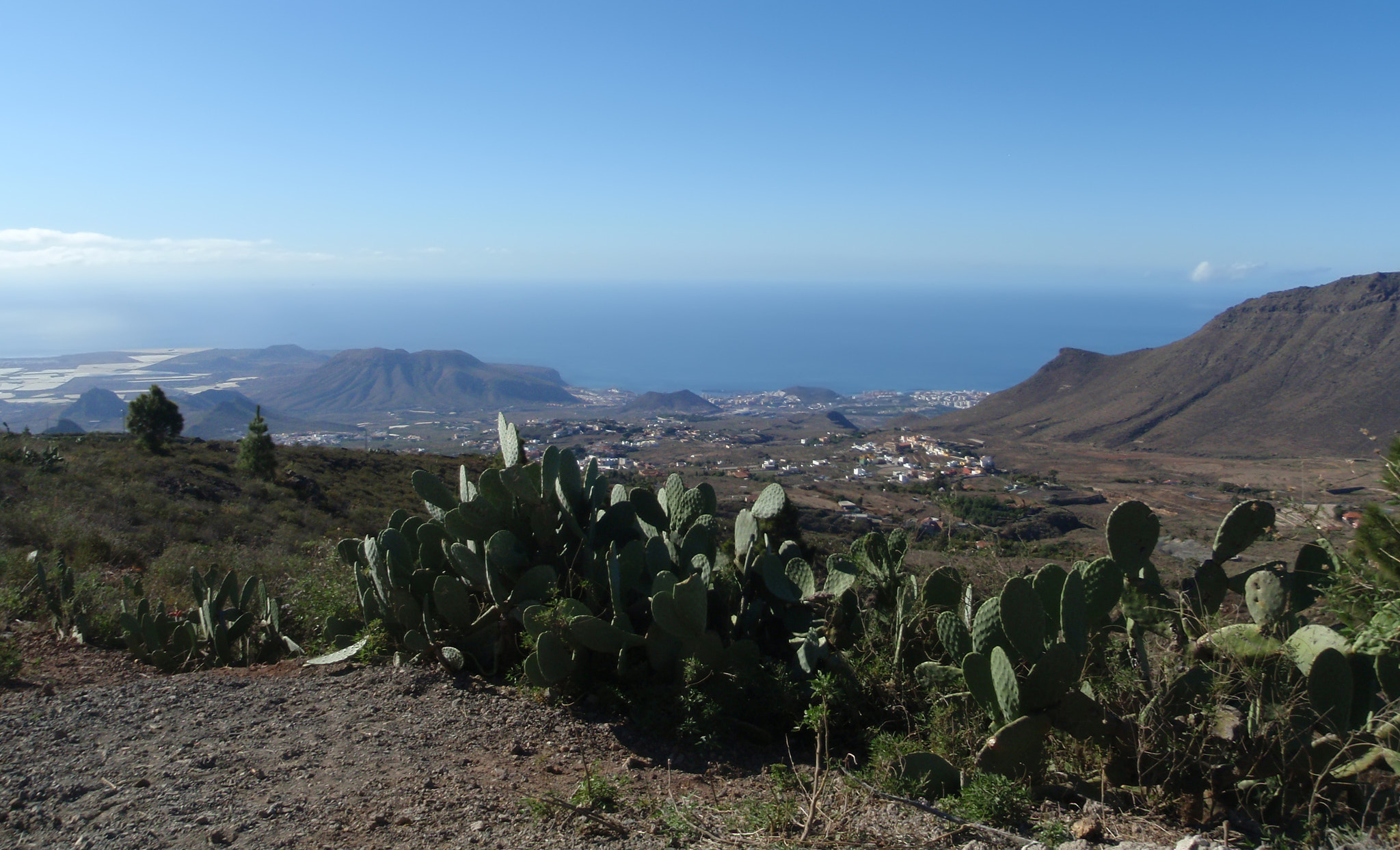 Olympus u1030SW,S1030SW sample photo. Teide tenerife canarian island spain photography