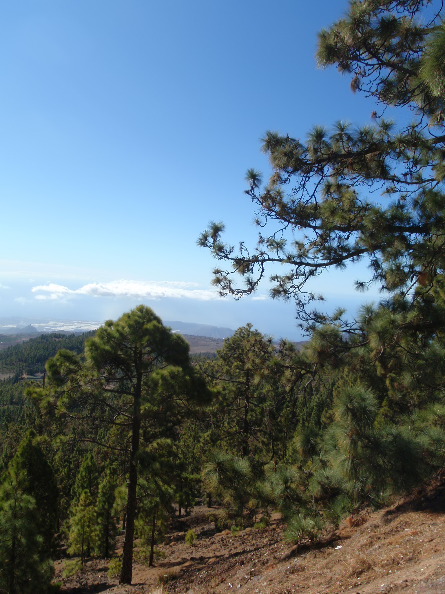 Olympus u1030SW,S1030SW sample photo. Teide tenerife canarian island spain photography