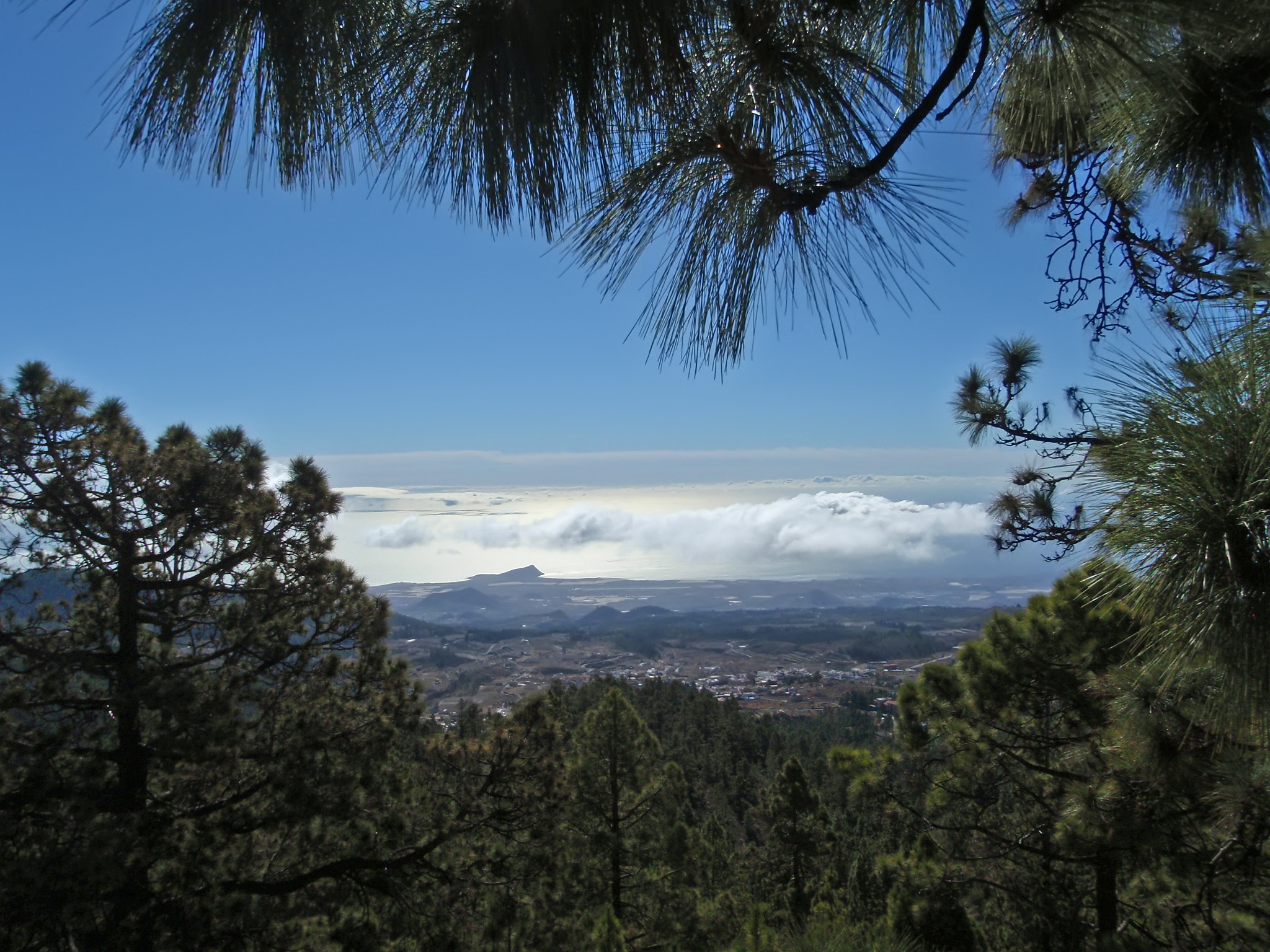 Olympus u1030SW,S1030SW sample photo. Teide tenerife canarian island spain photography