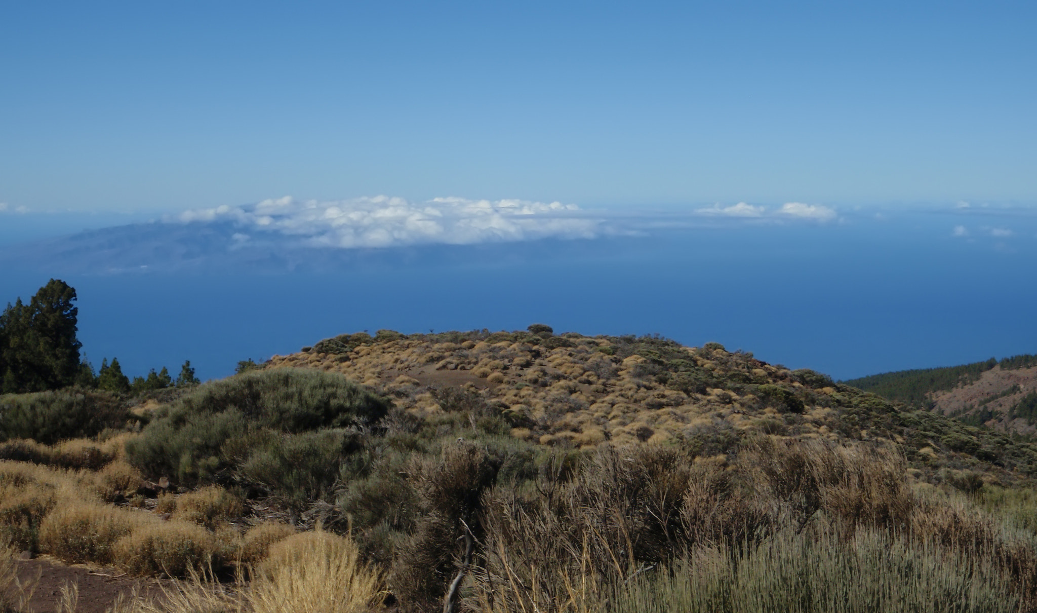 Olympus u1030SW,S1030SW sample photo. Teide tenerife canarian island spain photography