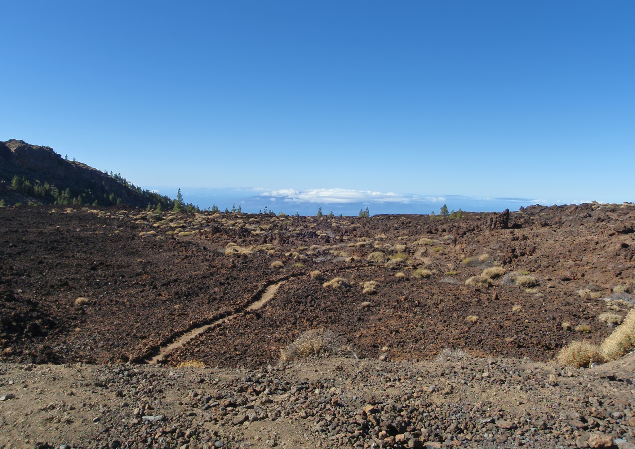 Olympus u1030SW,S1030SW sample photo. Teide tenerife canarian island spain photography