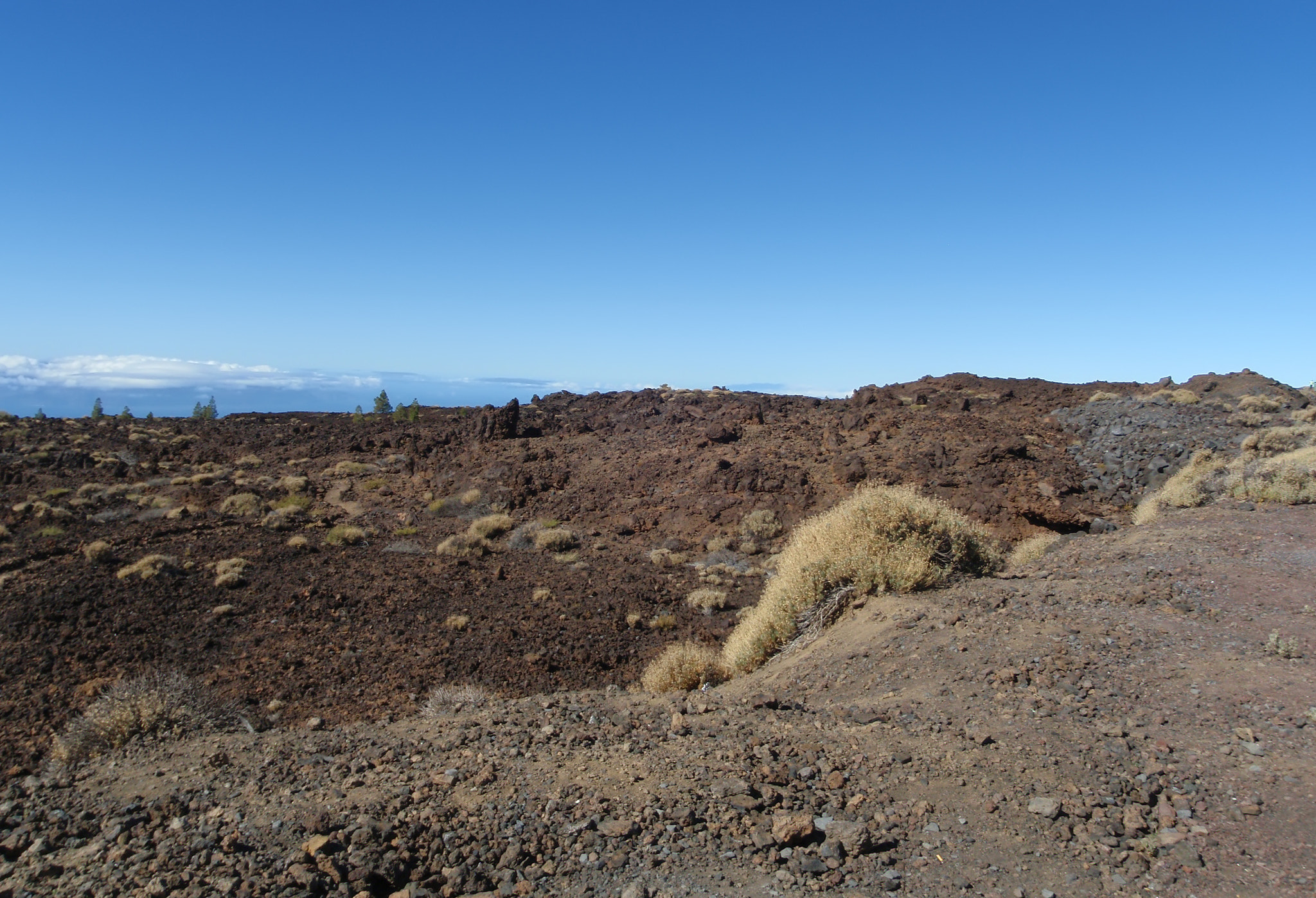 Olympus u1030SW,S1030SW sample photo. Teide tenerife canarian island spain photography