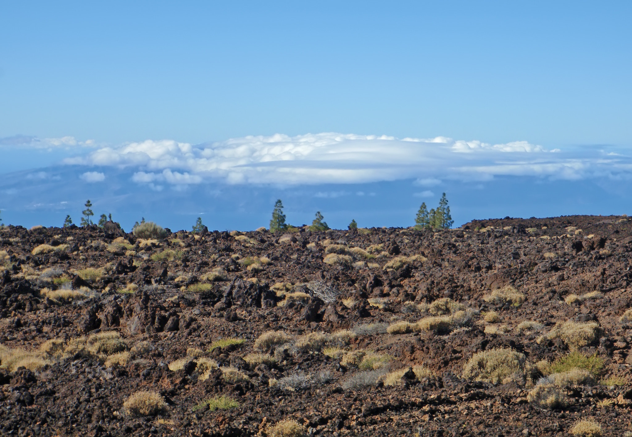 Olympus u1030SW,S1030SW sample photo. Teide tenerife canarian island spain photography