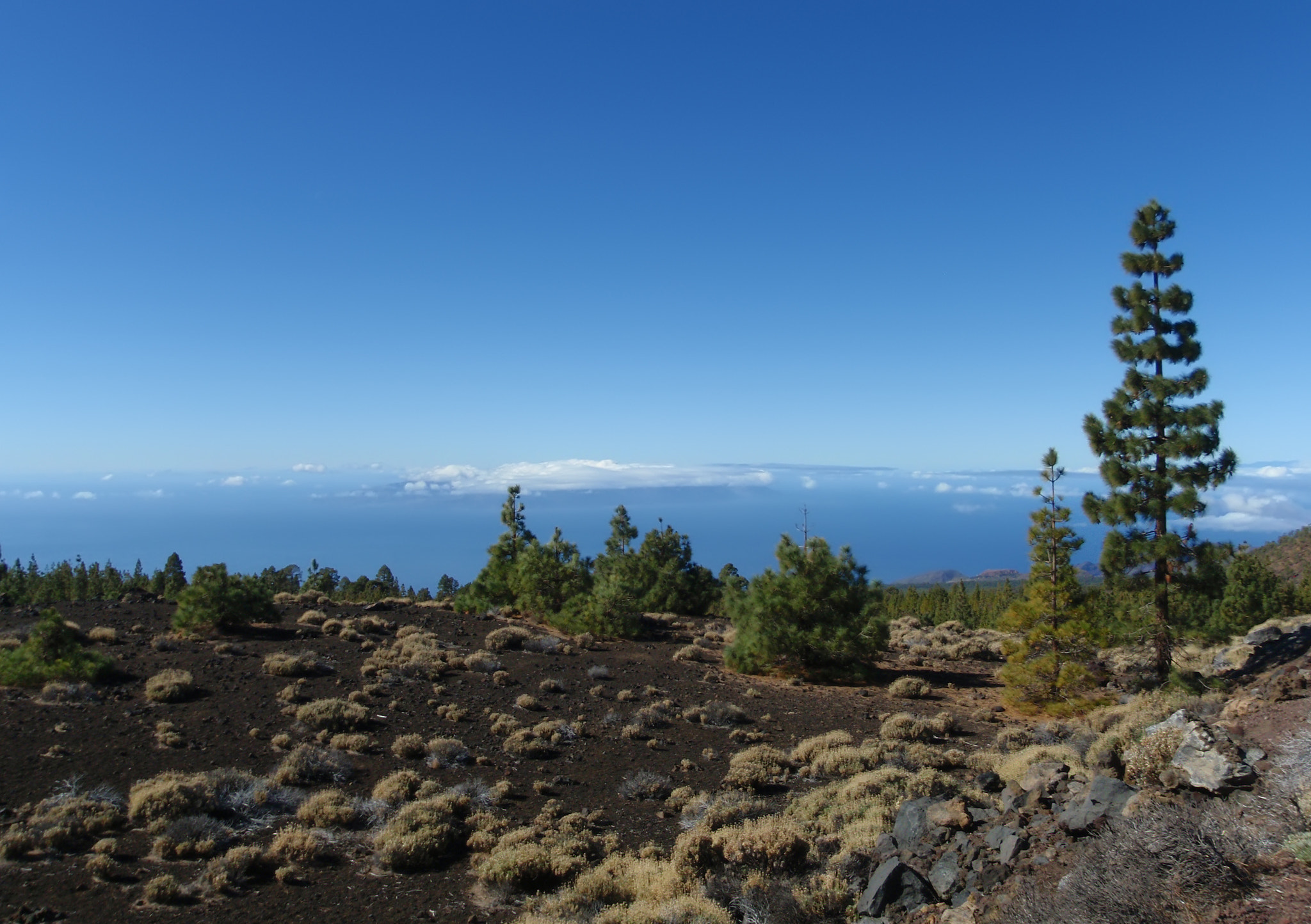 Olympus u1030SW,S1030SW sample photo. Teide tenerife canarian island spain photography