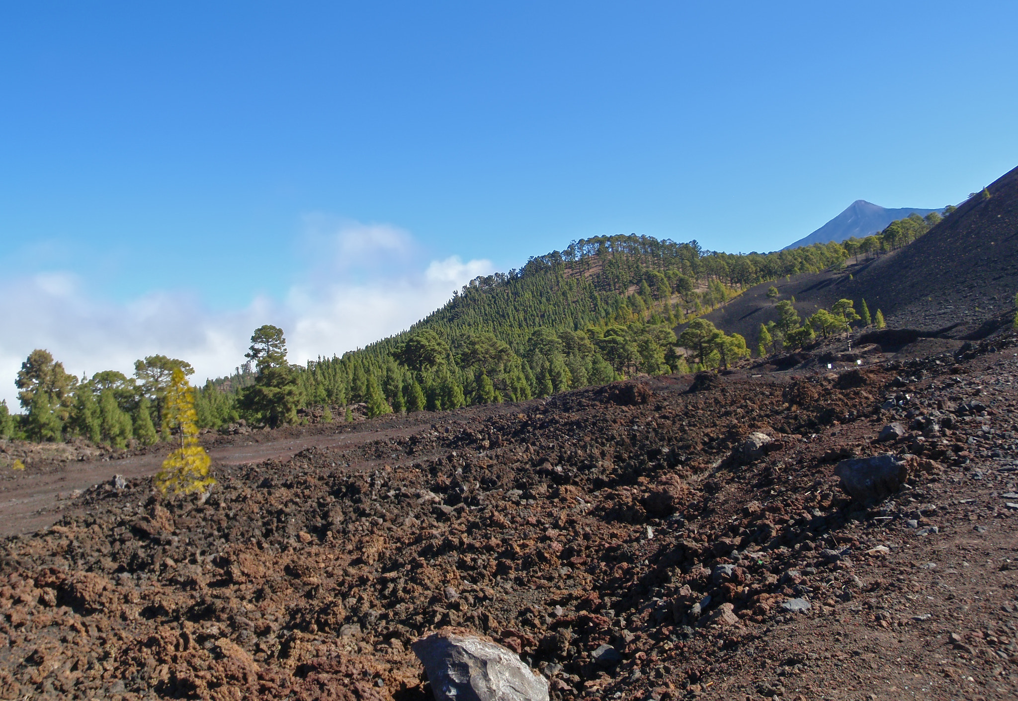 Olympus u1030SW,S1030SW sample photo. Teide tenerife canarian island spain photography