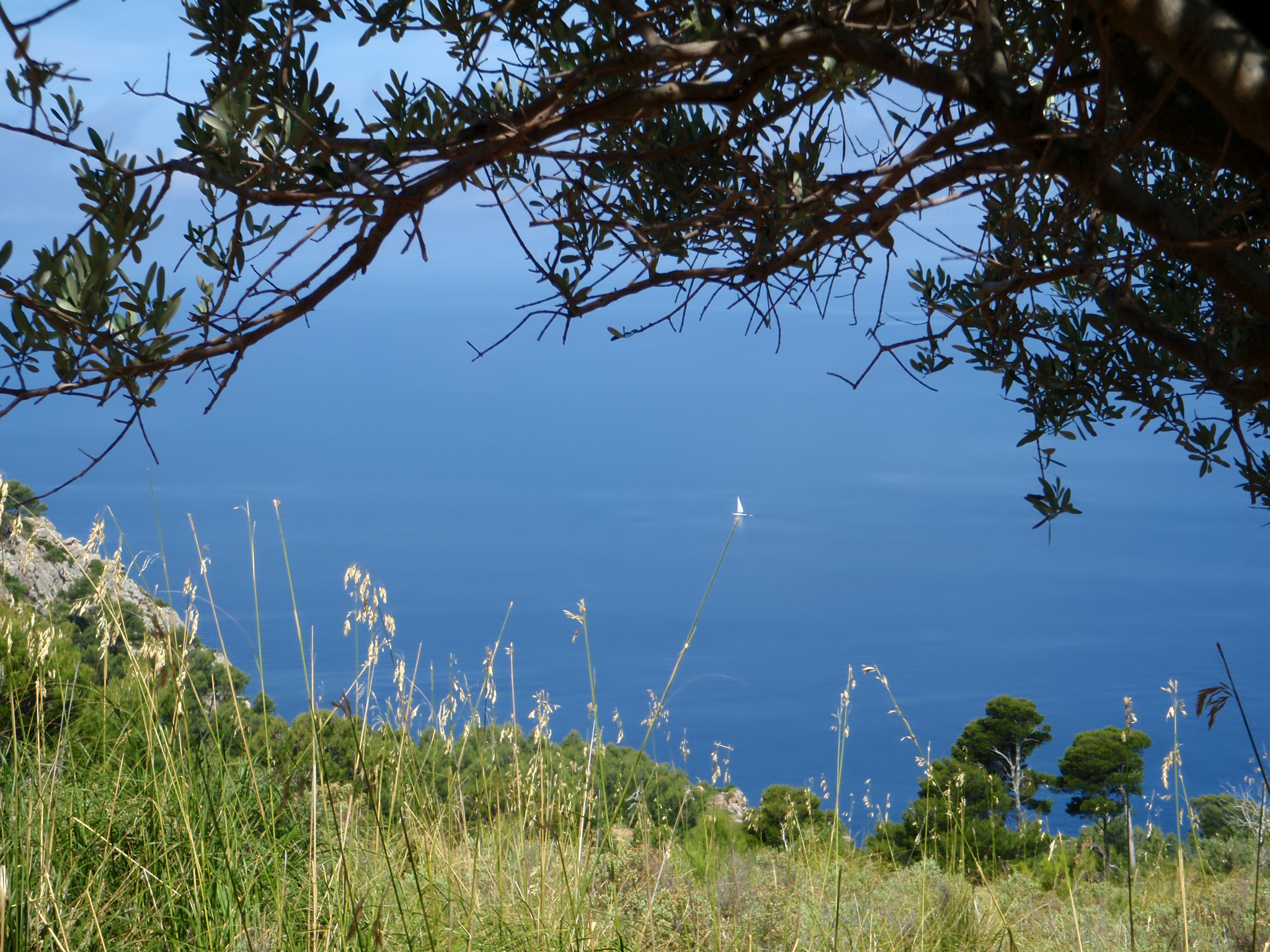 Olympus u1030SW,S1030SW sample photo. Mallorca island spain mediterranean view photography