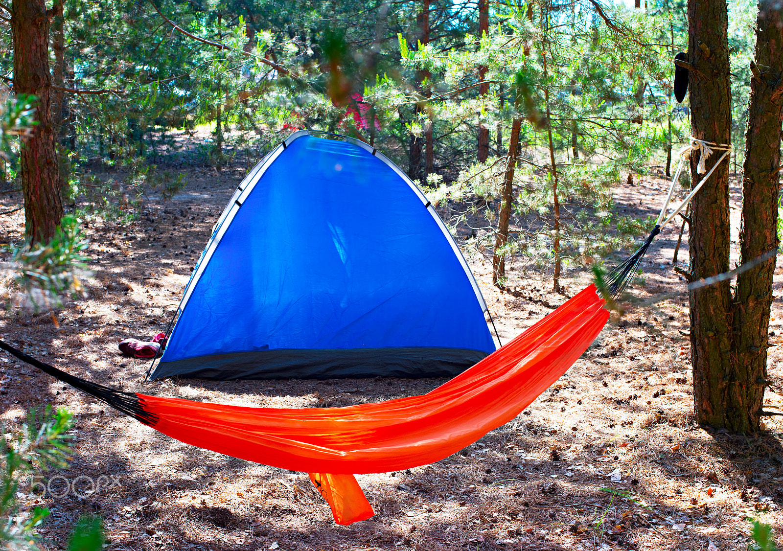 Nikon Df + Nikon AF Nikkor 50mm F1.4D sample photo. Campsite in the forest photography