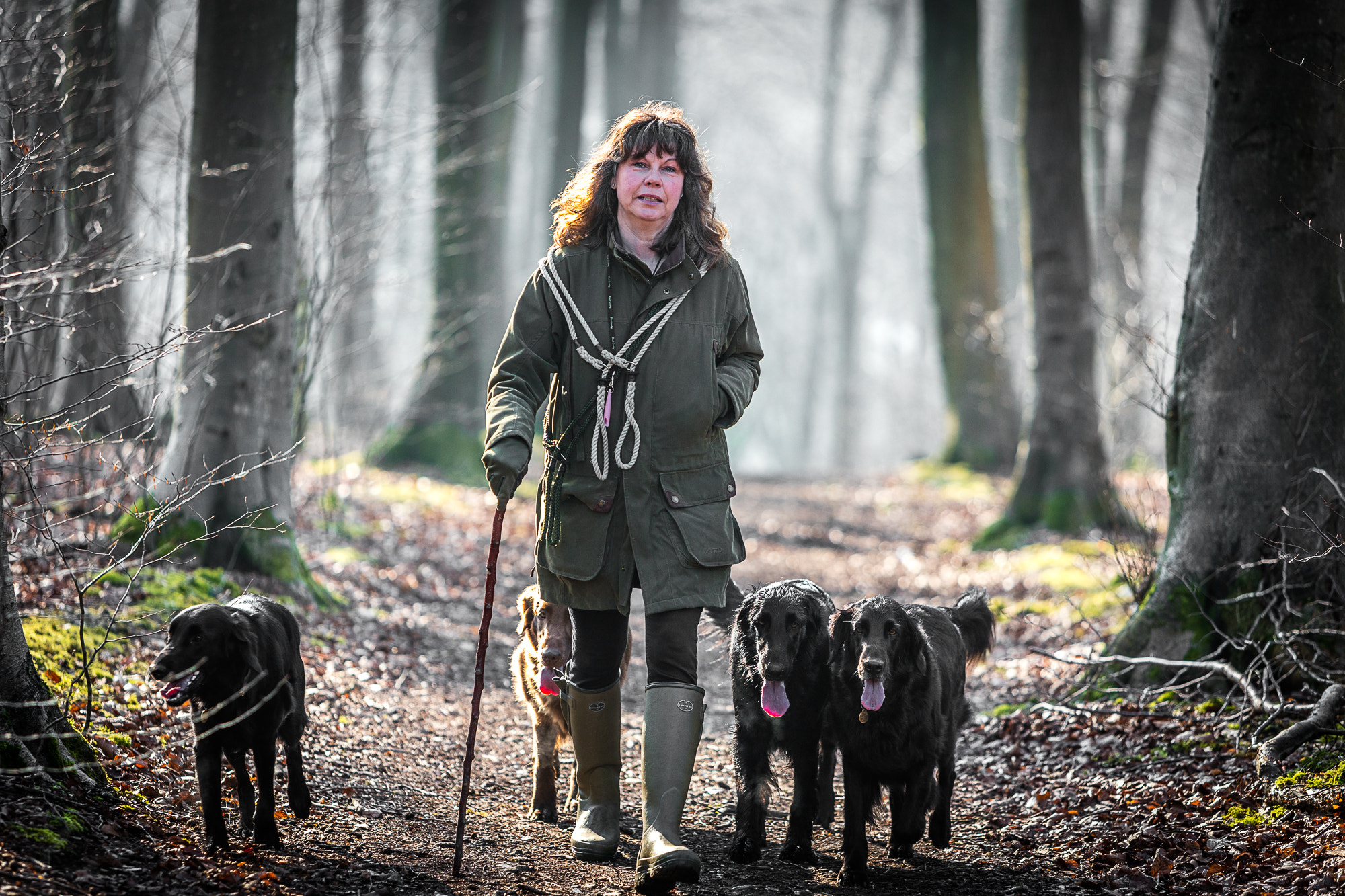 Canon EOS 5DS sample photo. Dogs photography