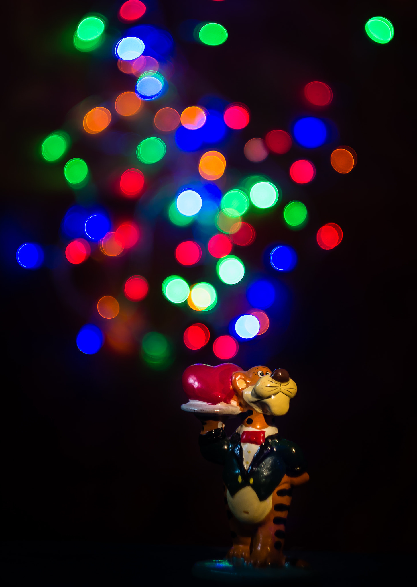 Sony Alpha DSLR-A580 + Minolta AF 50mm F1.7 sample photo. From my heart photography