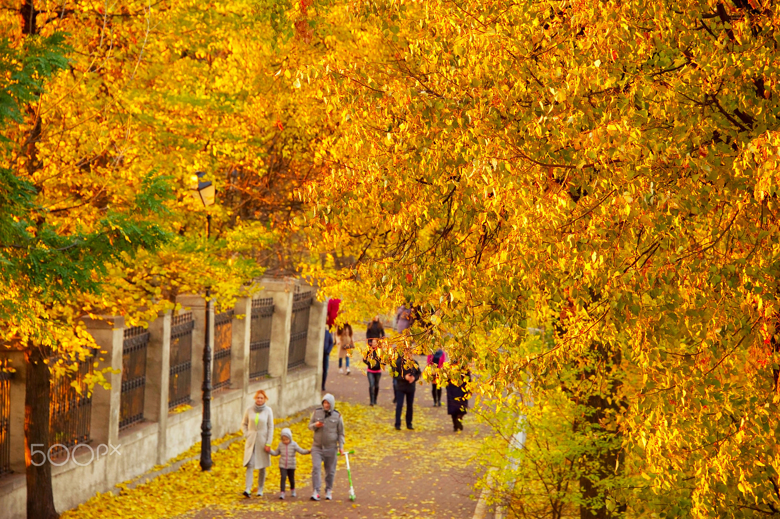 Nikon Df sample photo. Family in a park photography