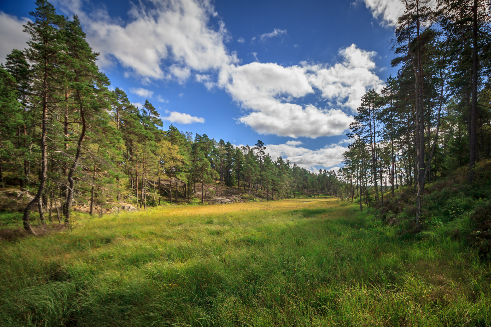 Canon EF-S 10-18mm F4.5–5.6 IS STM sample photo. Tresticklan national park sweden photography