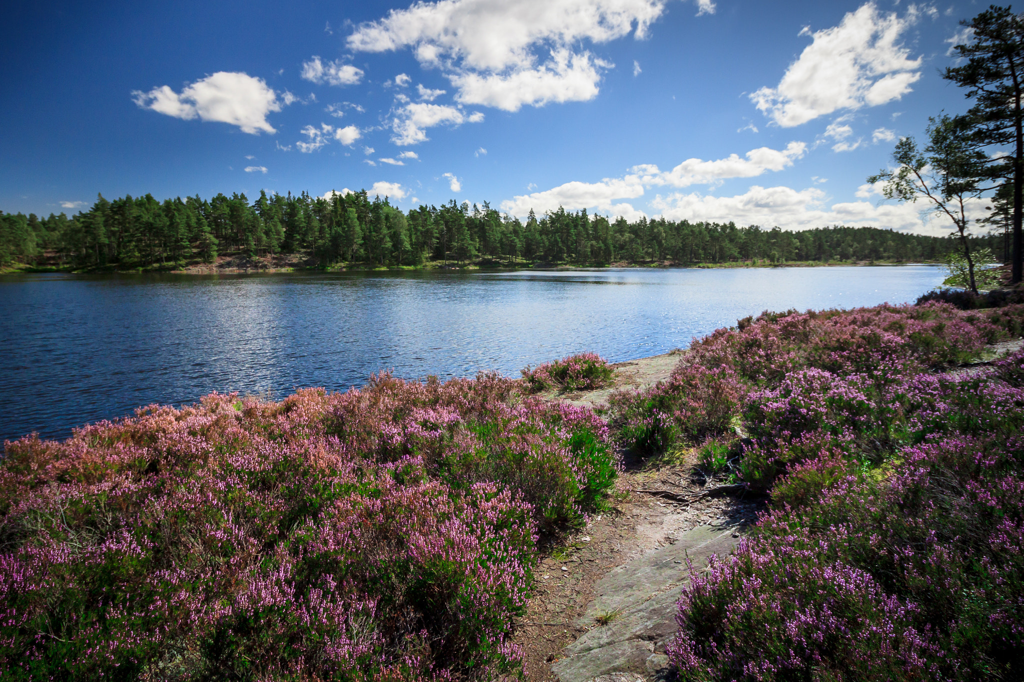Canon EF-S 10-18mm F4.5–5.6 IS STM sample photo. Tresticklan national park sweden #2 photography