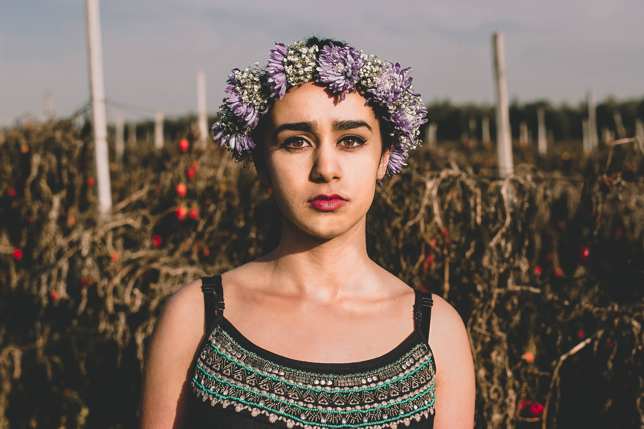Sigma 35mm F1.4 DG HSM Art sample photo. Tomato field memories photography