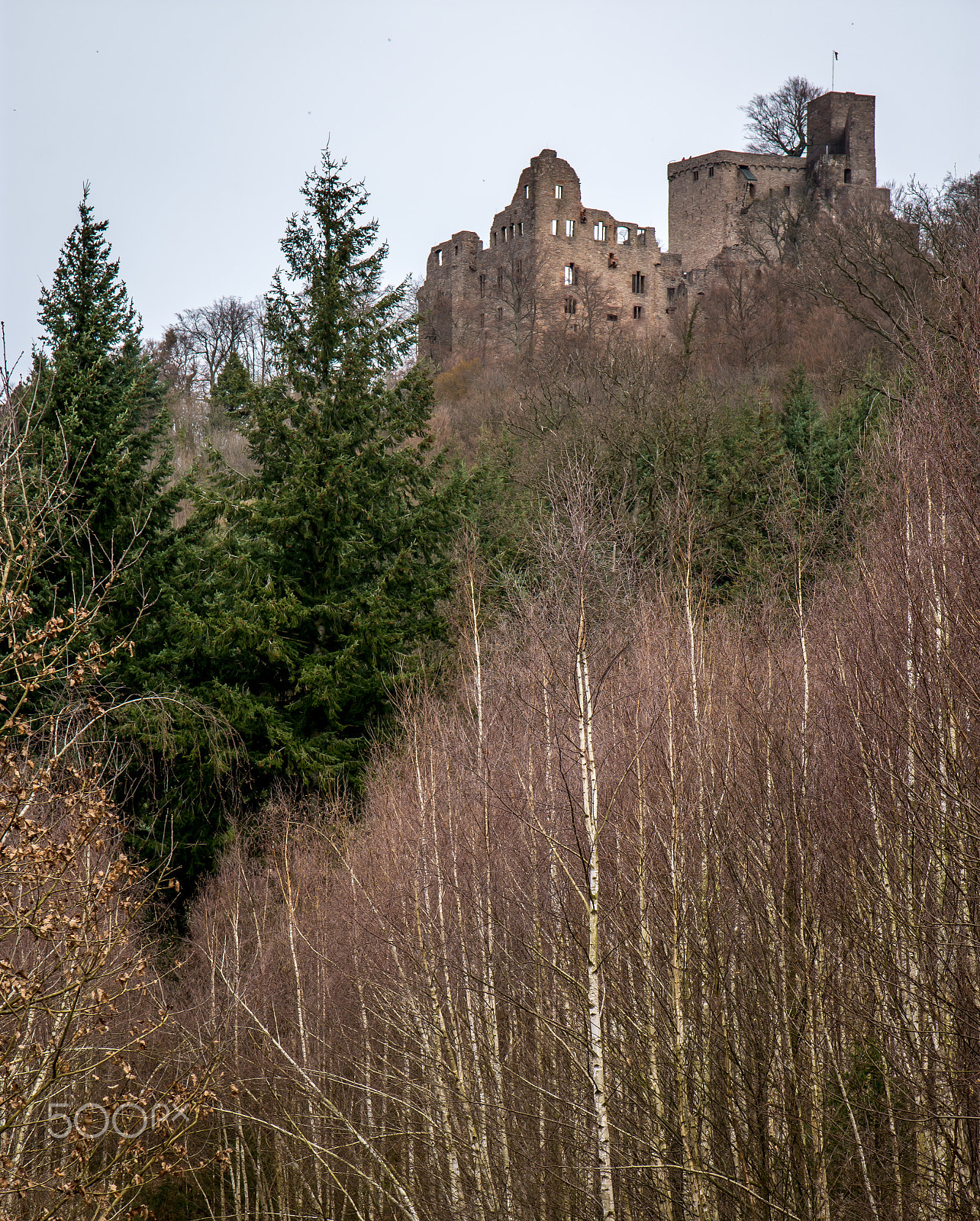 Sigma 17-70mm F2.8-4 DC Macro OS HSM | C sample photo. Old castle ruin photography