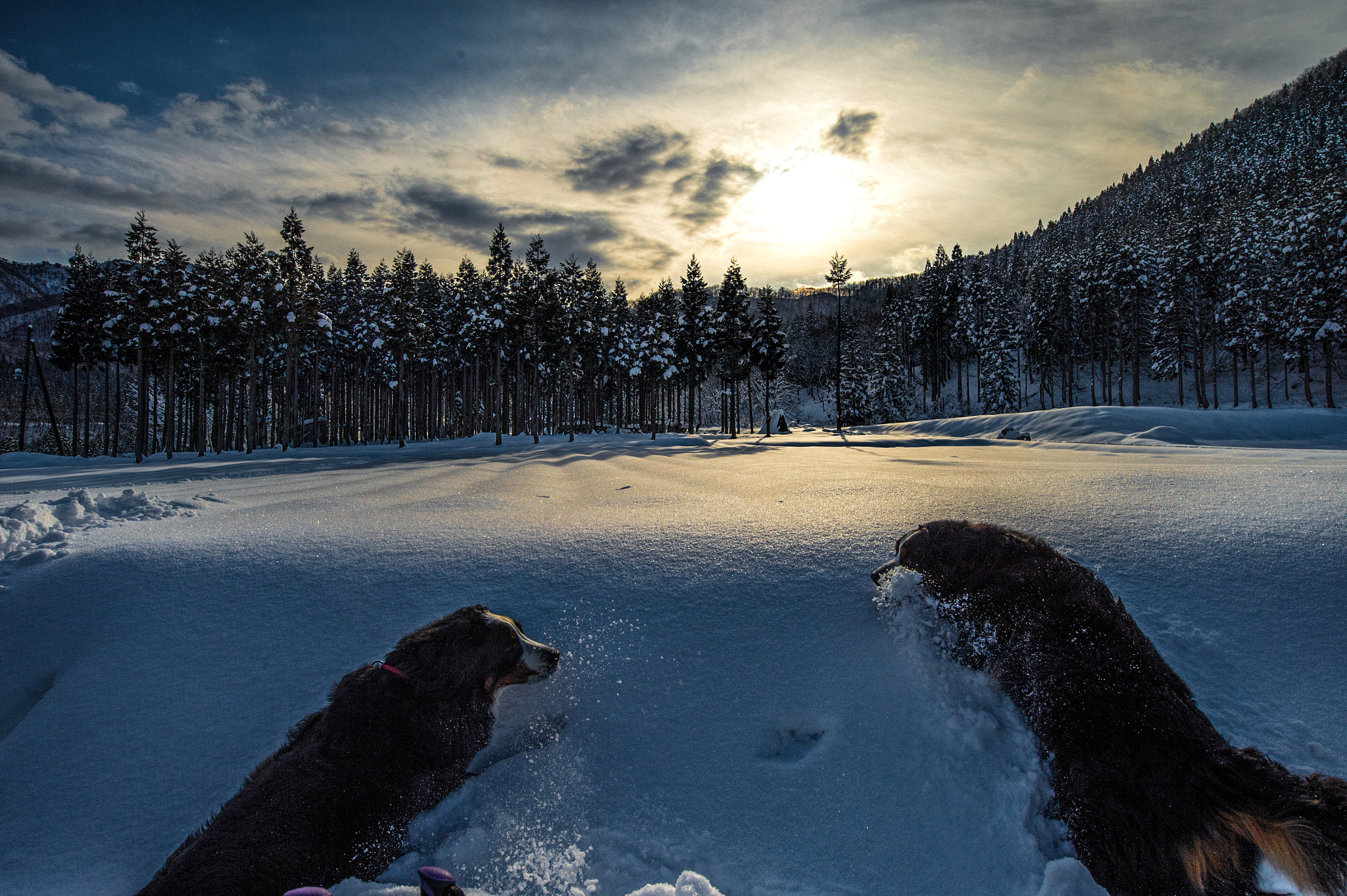 Nikon AF-S Nikkor 18-35mm F3.5-4.5G ED sample photo. Snow play photography