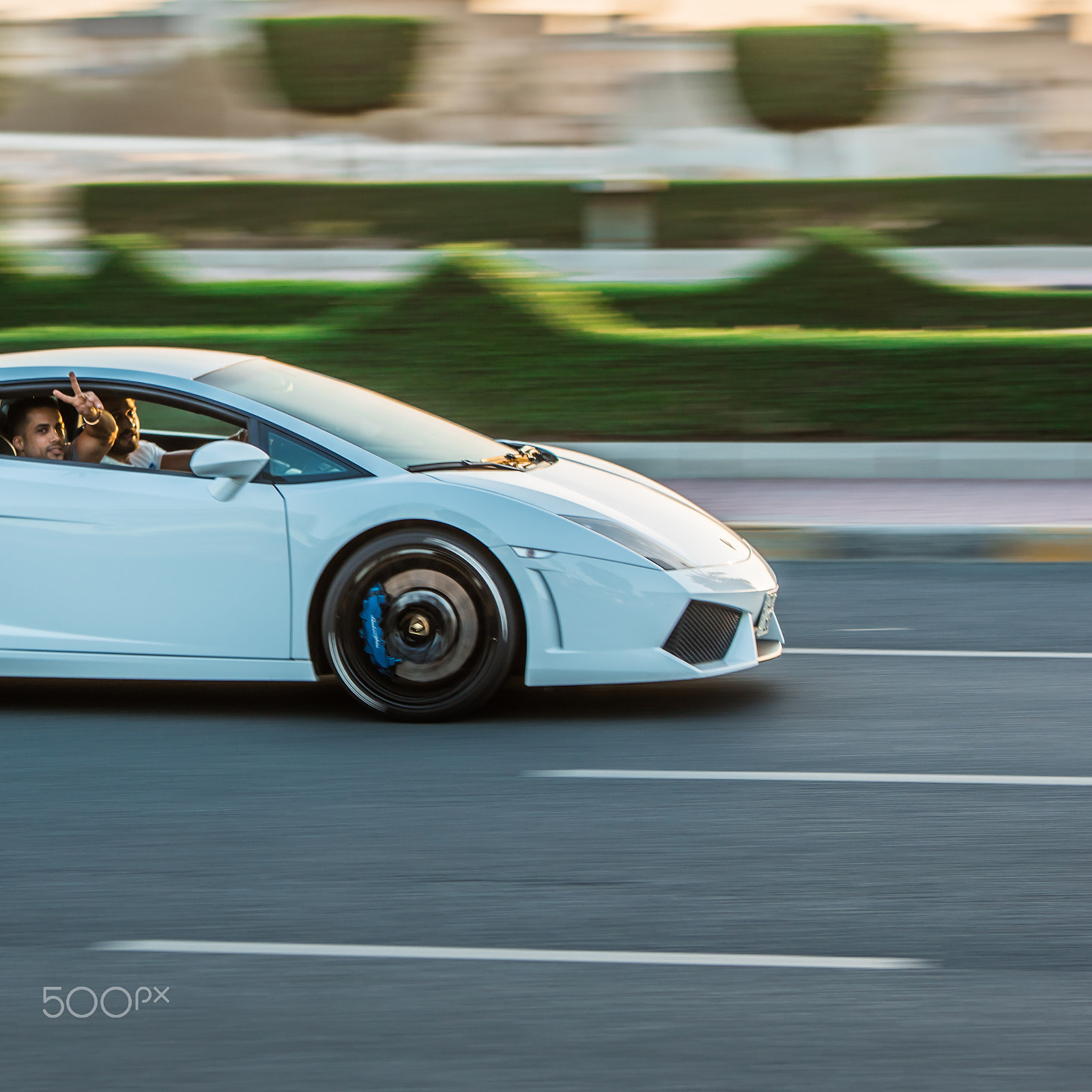 Sigma 70-200mm F2.8 EX DG OS HSM sample photo. Lambo photography