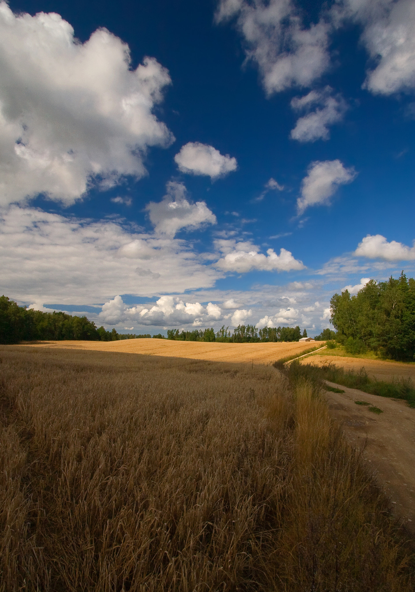Canon EOS 30D sample photo. Clouds and land; photography