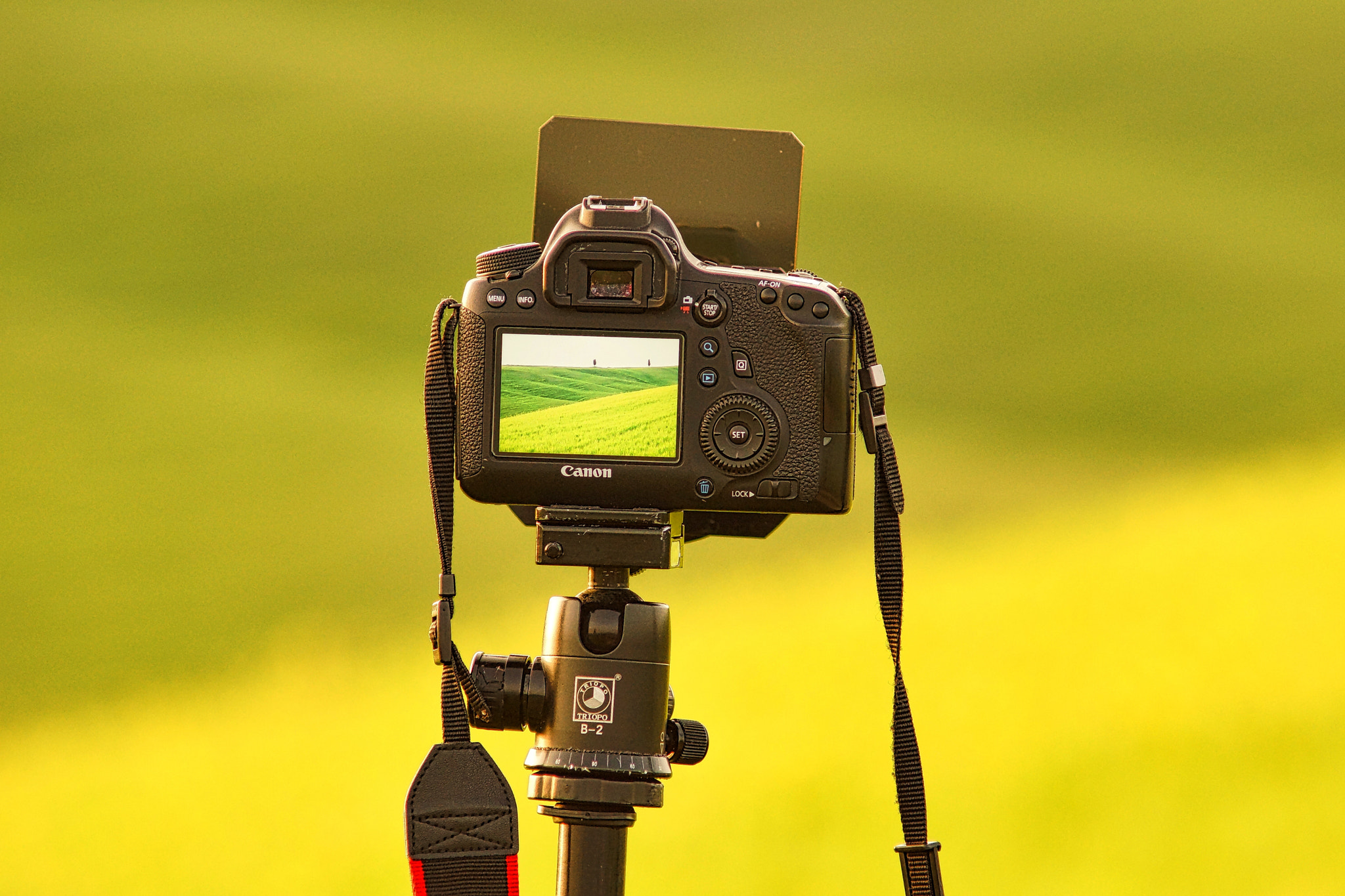 Sony SLT-A65 (SLT-A65V) + Minolta AF 70-210mm F4 Macro sample photo. Photographing the val d'orcia photography