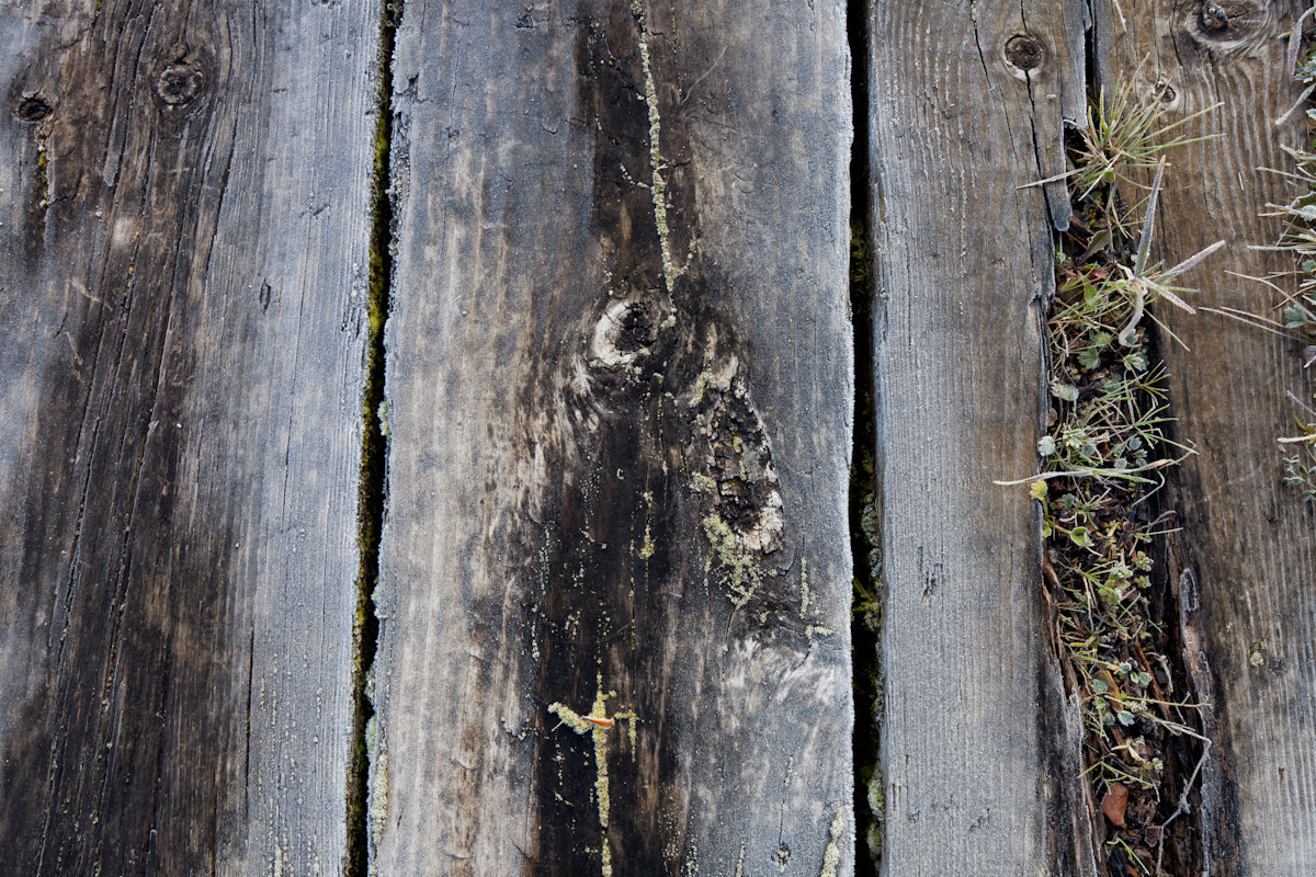 Canon EF 28mm F2.8 IS USM sample photo. Wood 2 photography