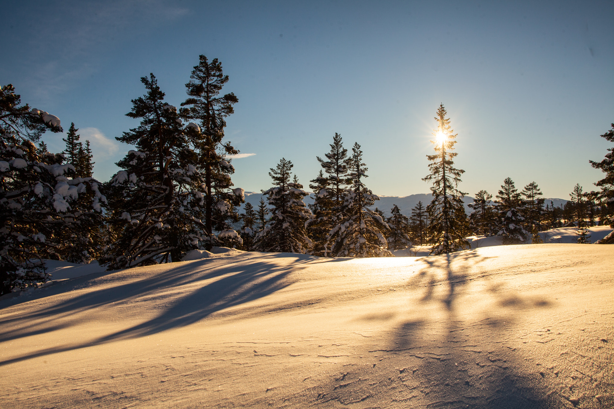 Canon EOS 5D Mark II + Sigma 28mm f/1.8 DG Macro EX sample photo. Winter photography