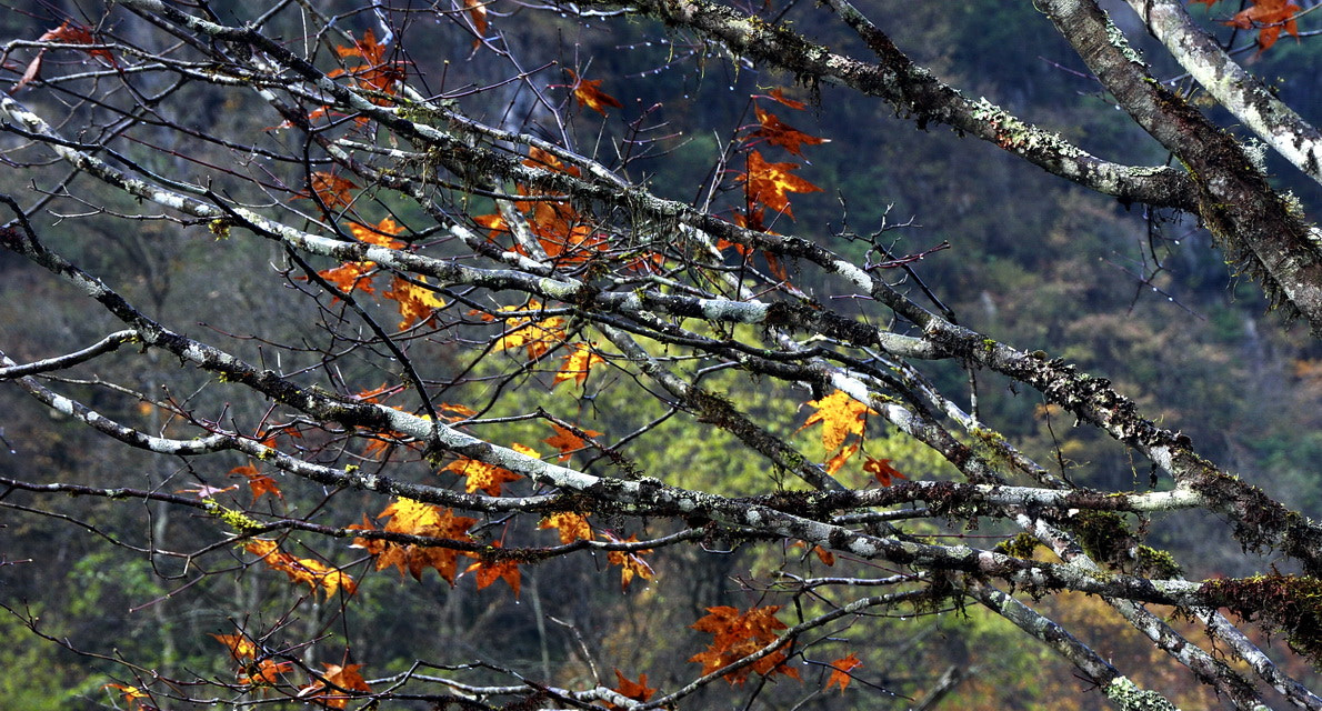 Canon EOS 40D sample photo. 风光 a () photography