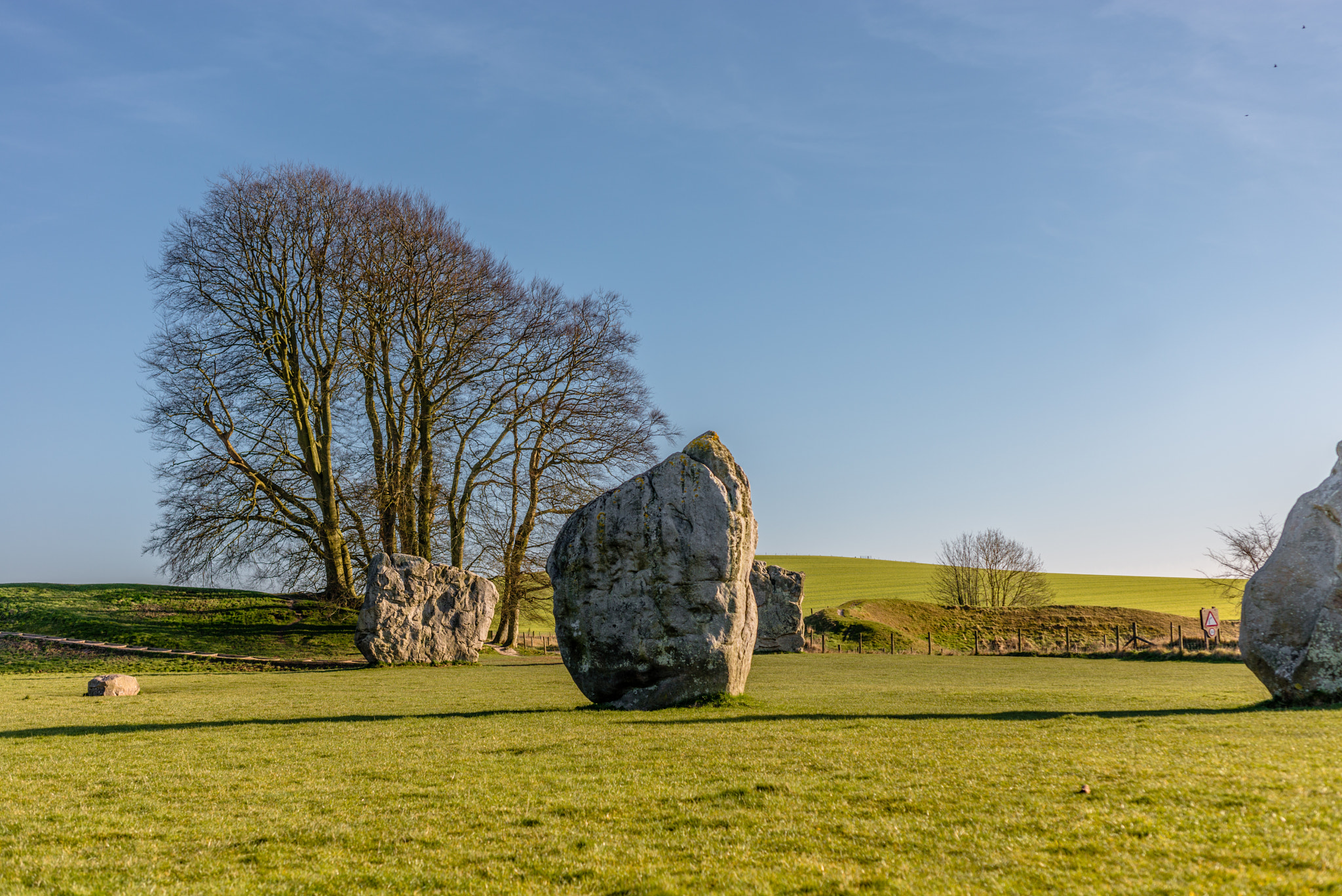 Nikon D800 + Sigma 50mm F2.8 EX DG Macro sample photo. Avebury photography