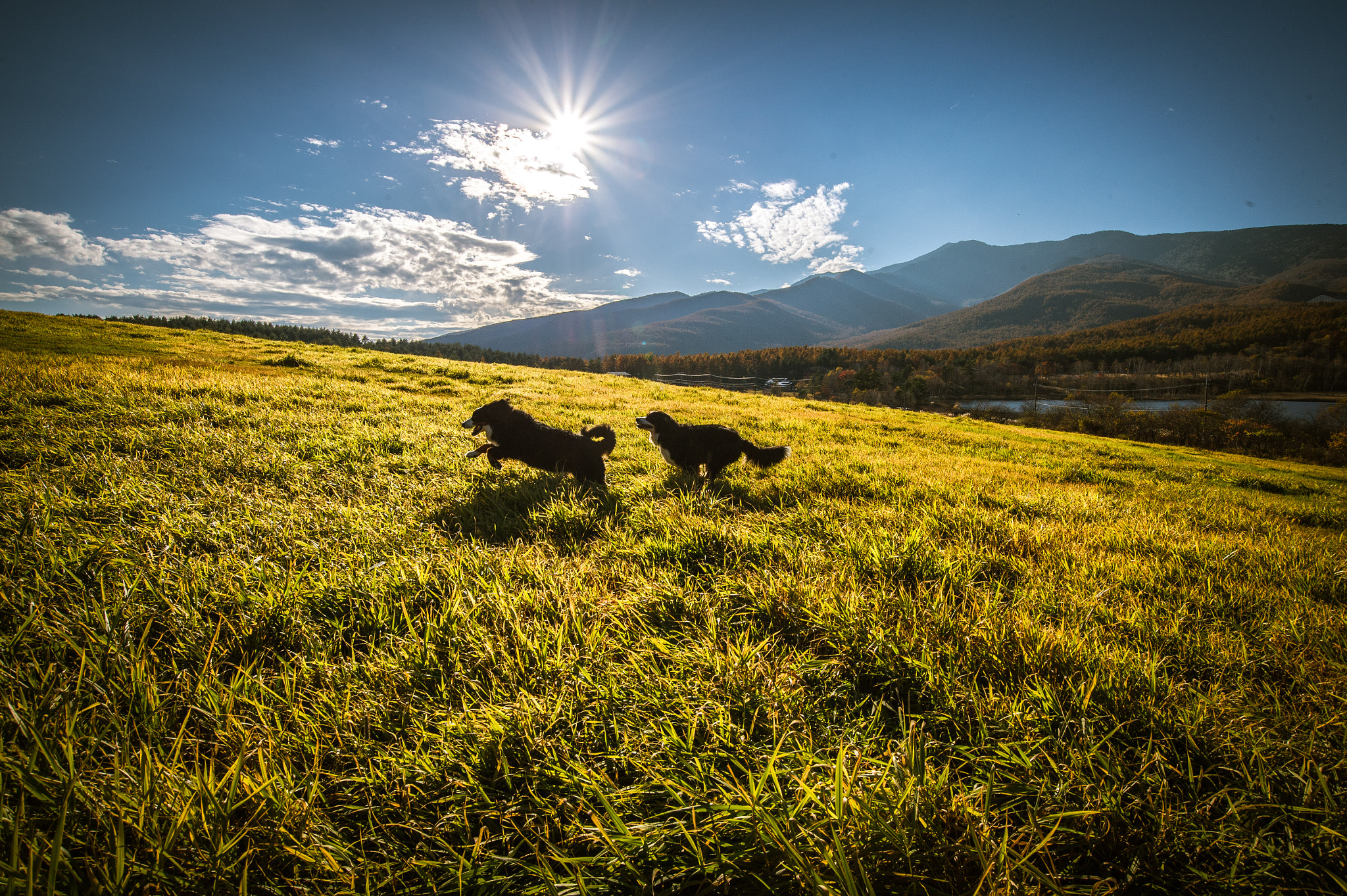Nikon AF-S Nikkor 18-35mm F3.5-4.5G ED sample photo. Run the glassland photography